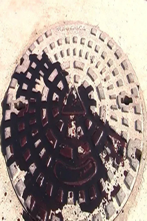 Poster for Paradoxes