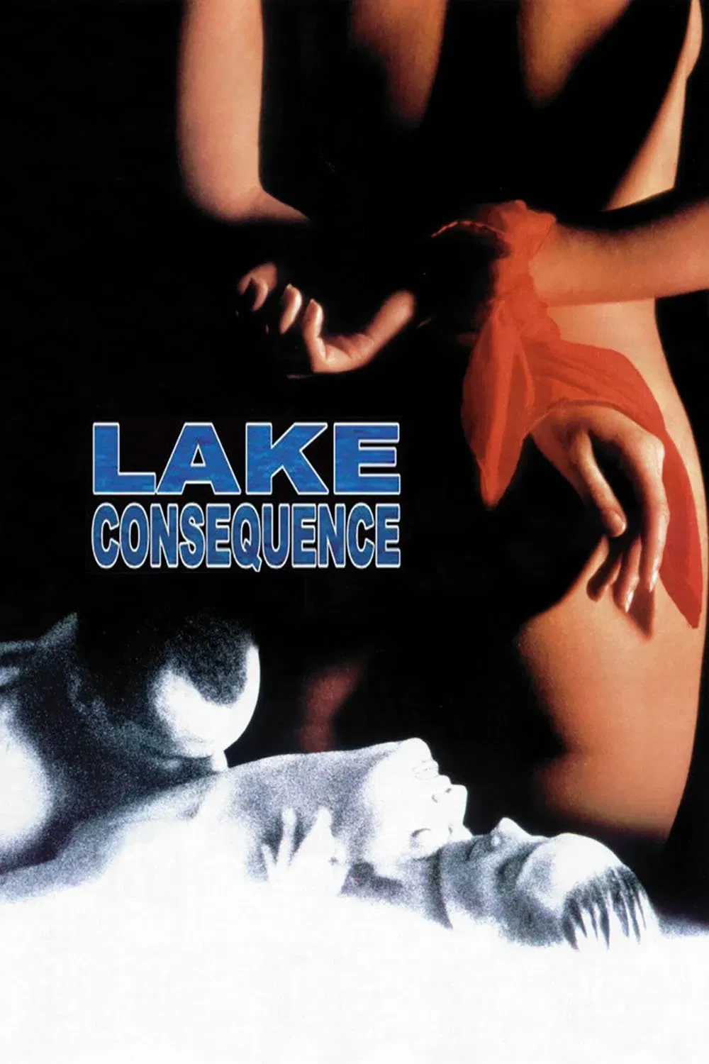 Poster of the movie Lake Consequence