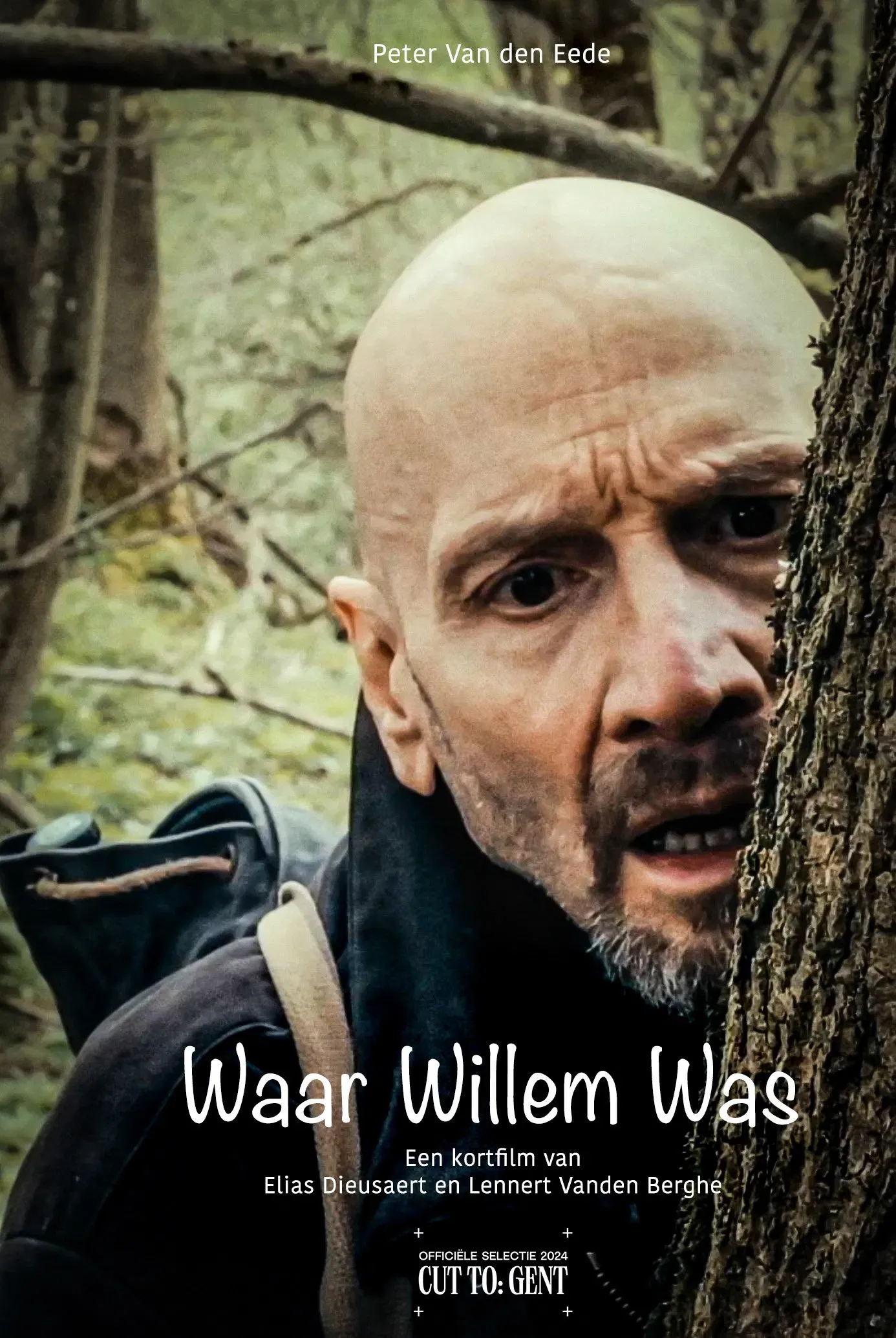 Poster of the movie Waar Willem Was