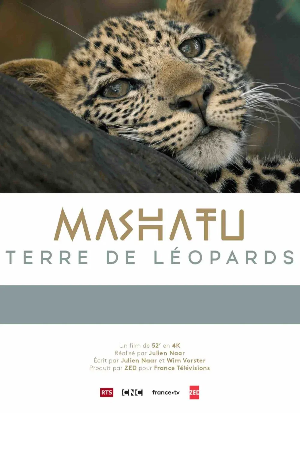 Poster for Mashatu: Land of Leopards