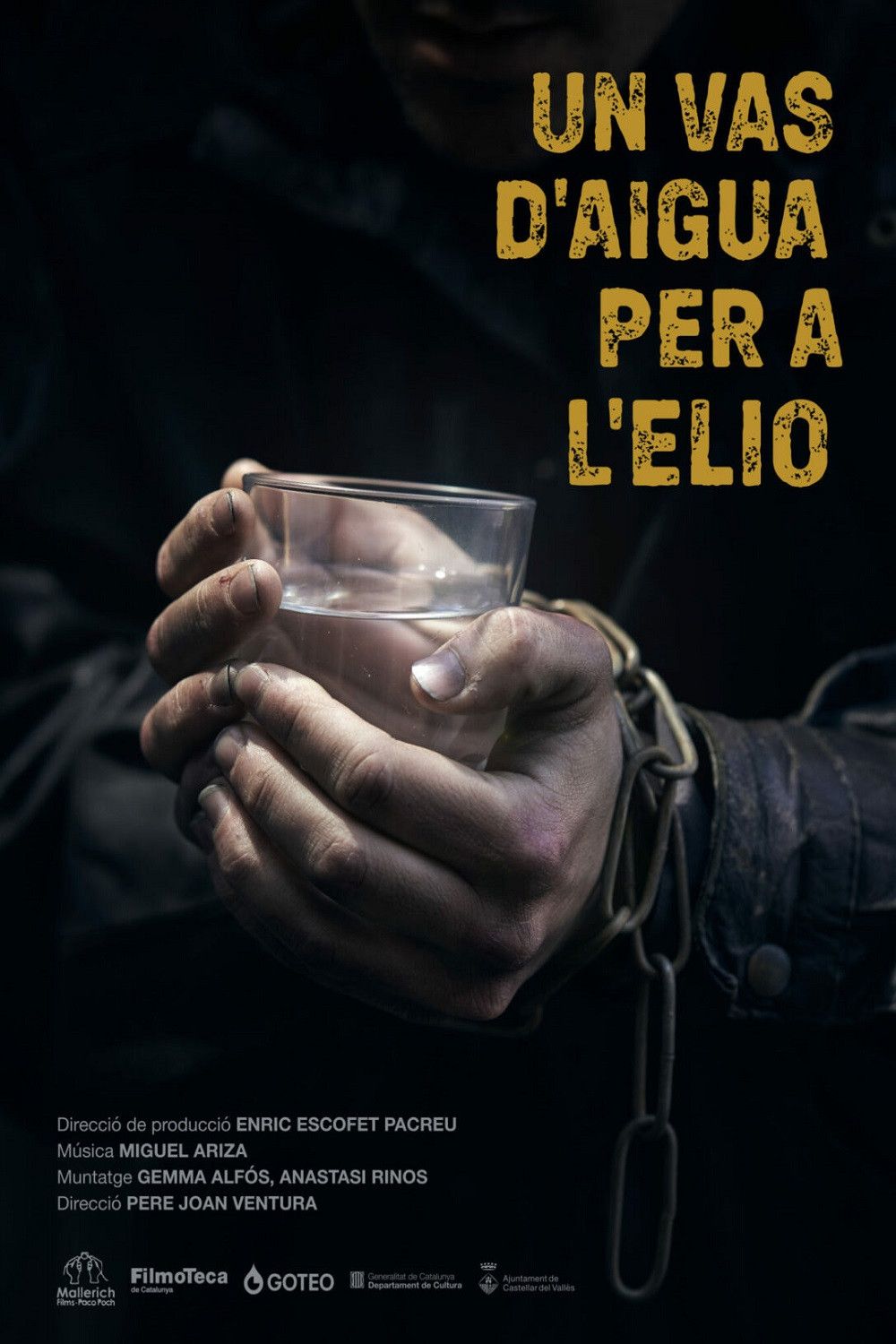 Poster of the movie Un vas d'aigua per a l'Elio