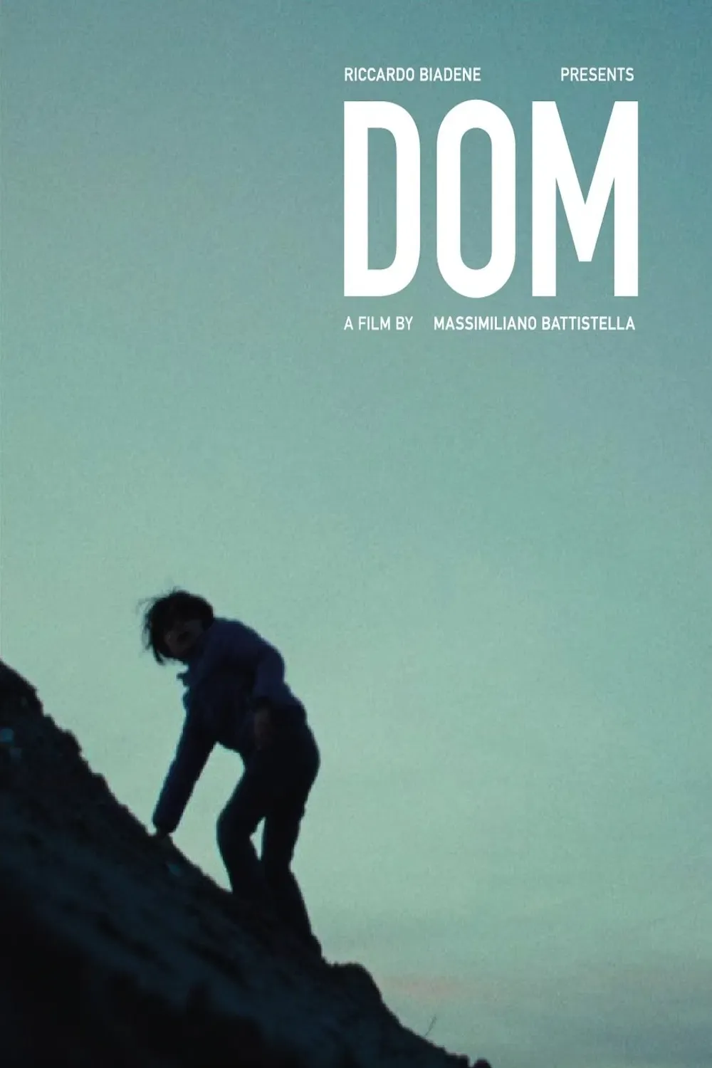 Poster of the movie Dom