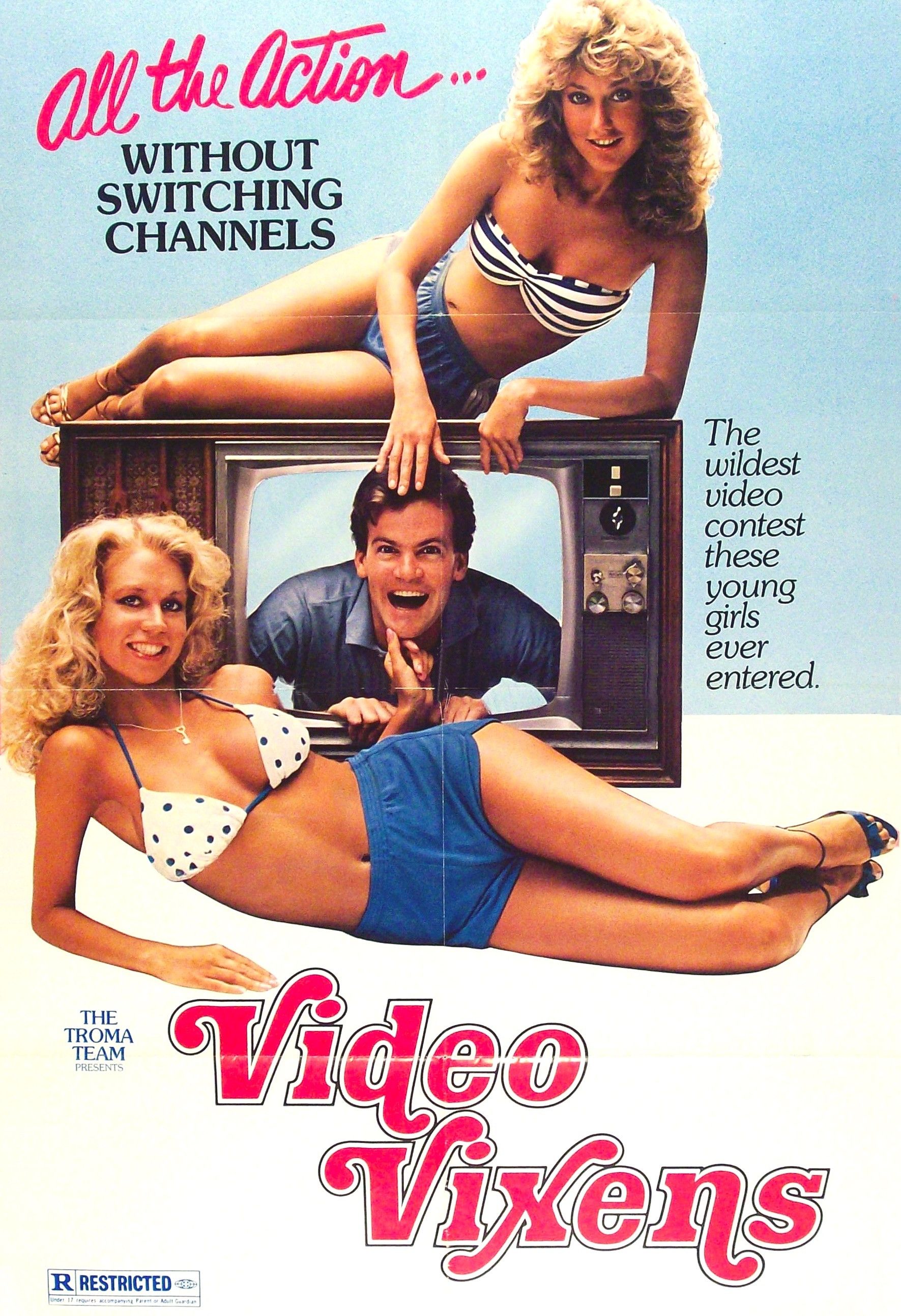 Poster of the movie Video Vixens!