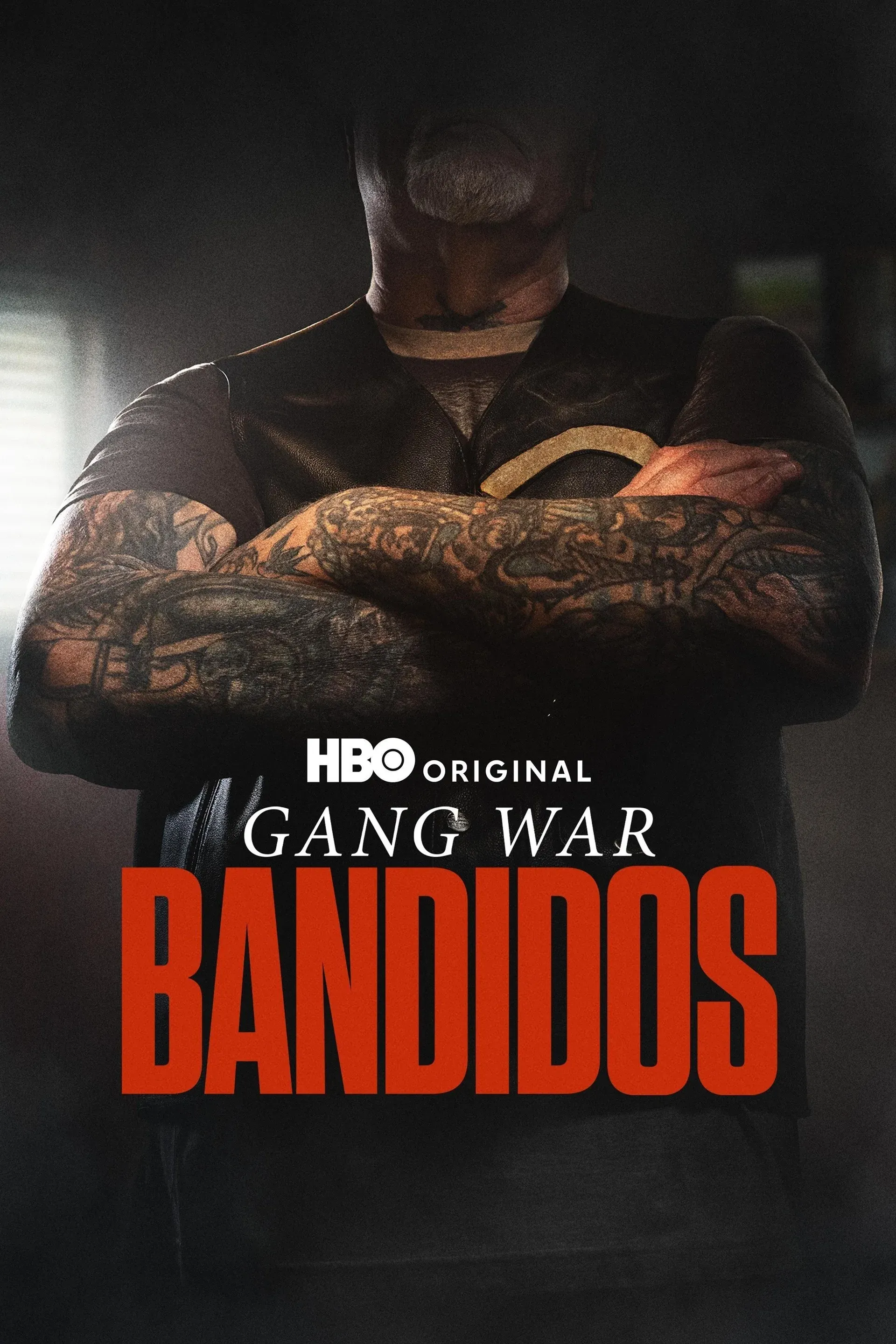 Poster of Gang War: Bandidos