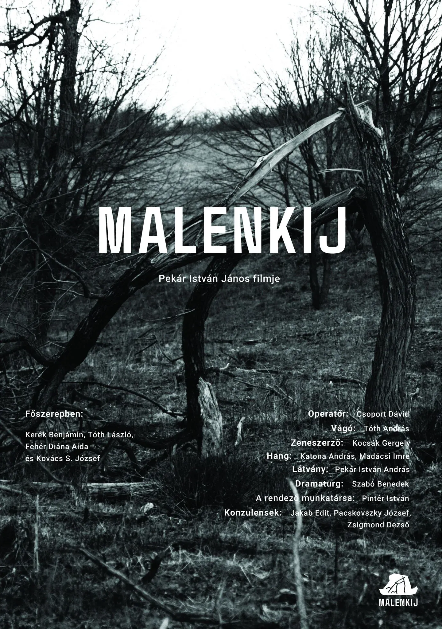 Poster for Malenkij