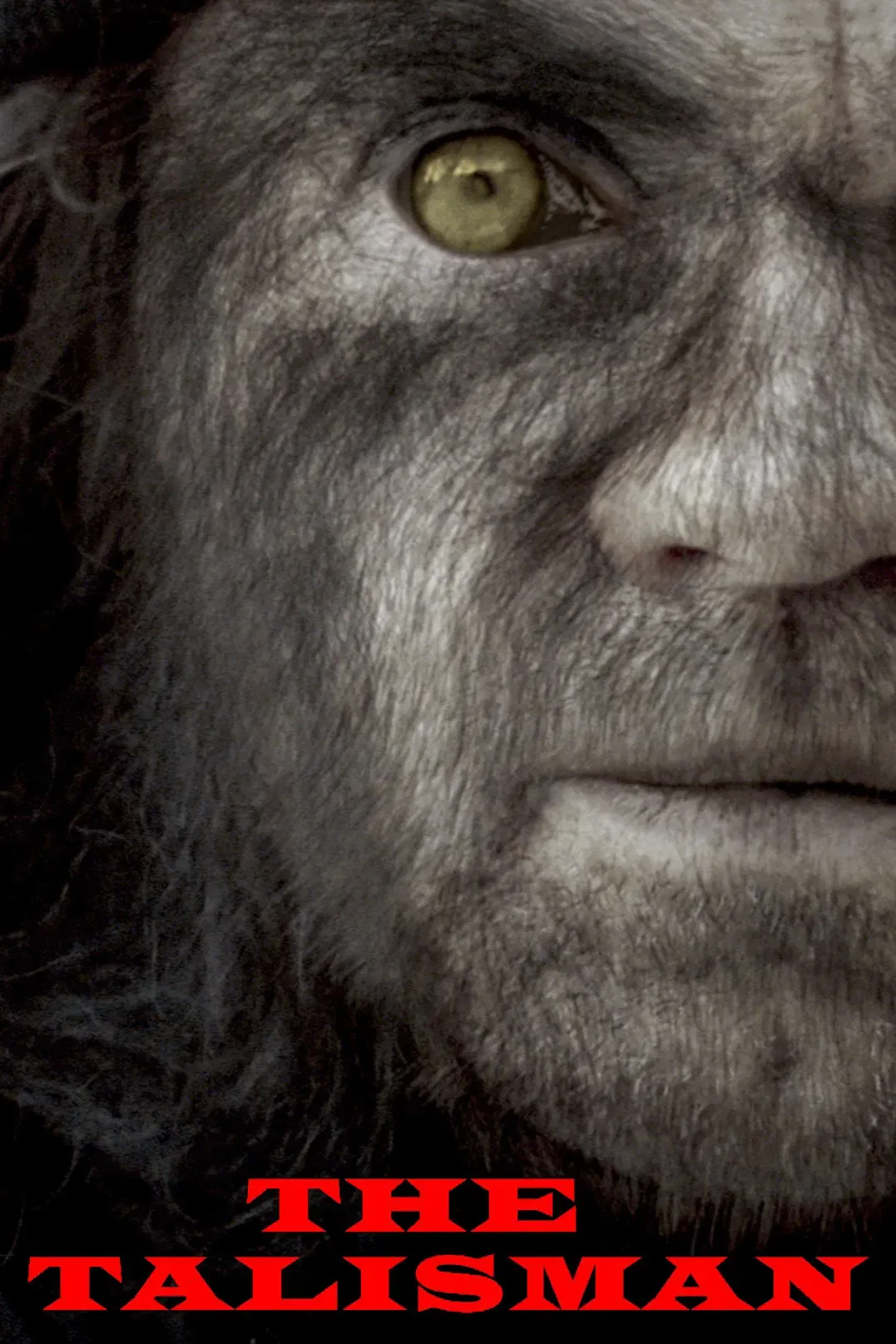 Poster of the movie The Talisman