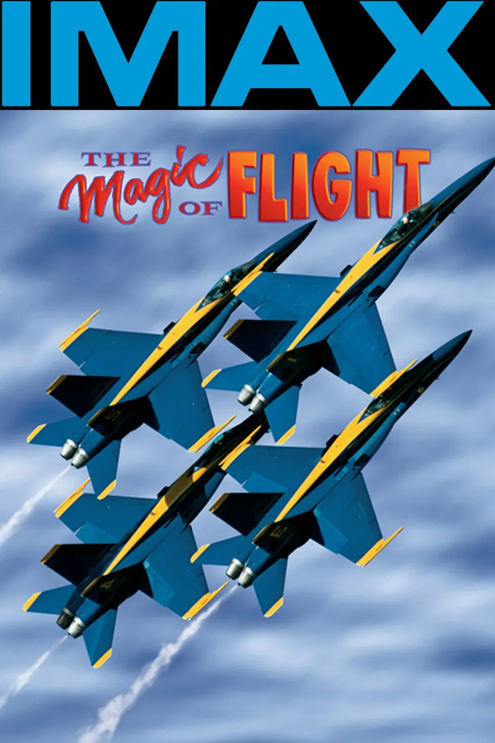 Poster of the movie The Magic of Flight