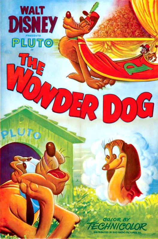 Poster of the movie Wonder Dog