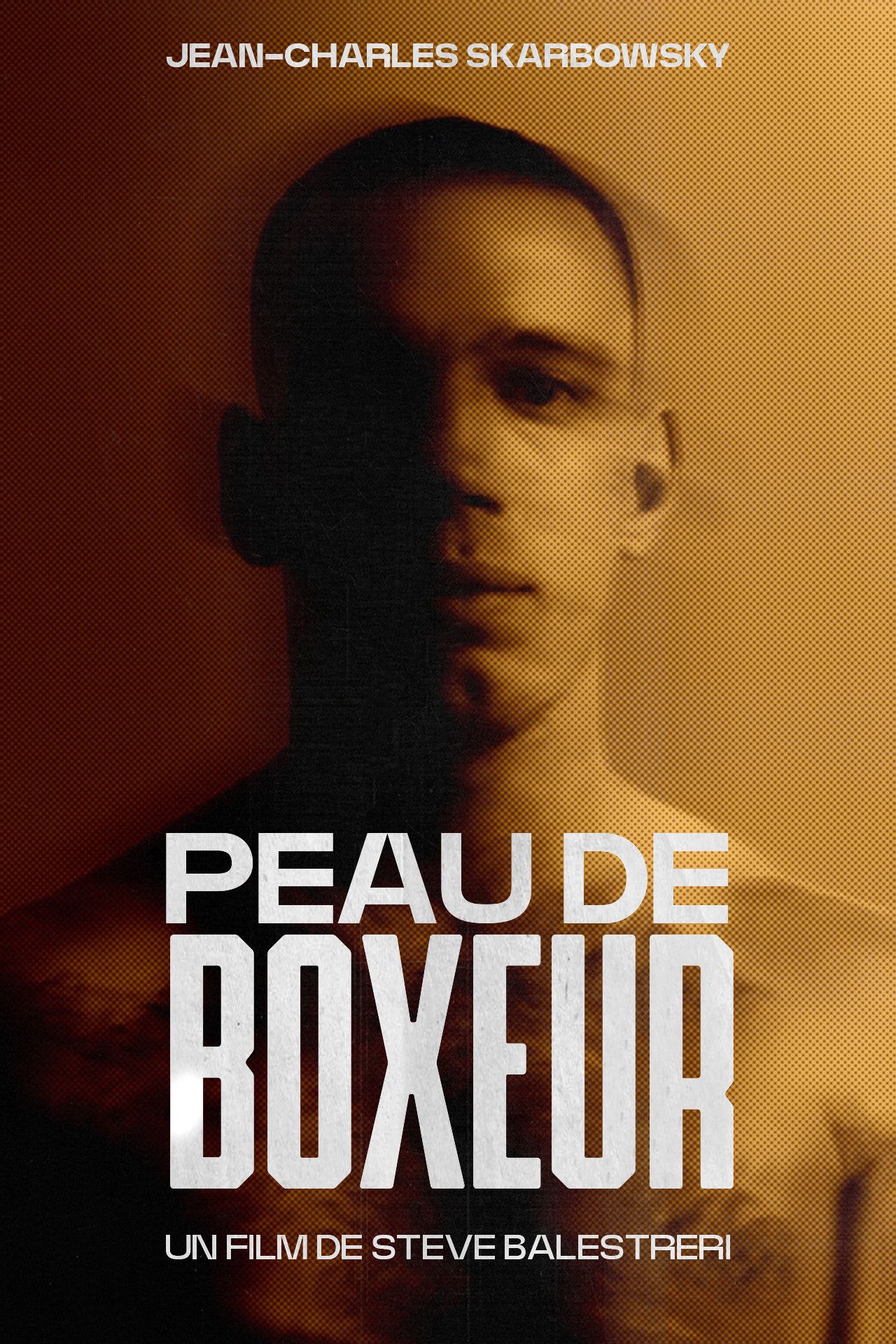 Poster of the movie Peau De Boxeur