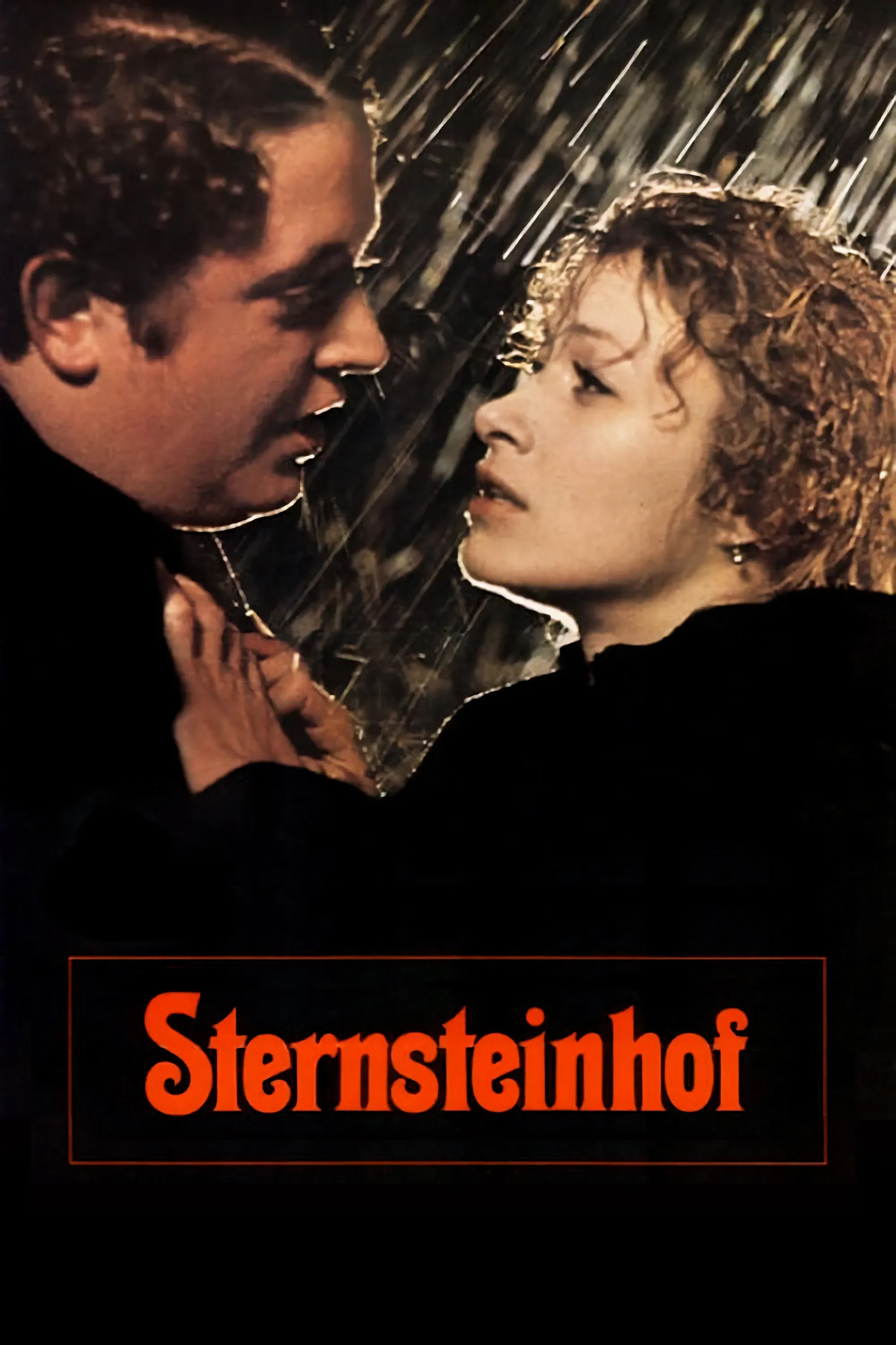 Poster of the movie The Sternstein Manor