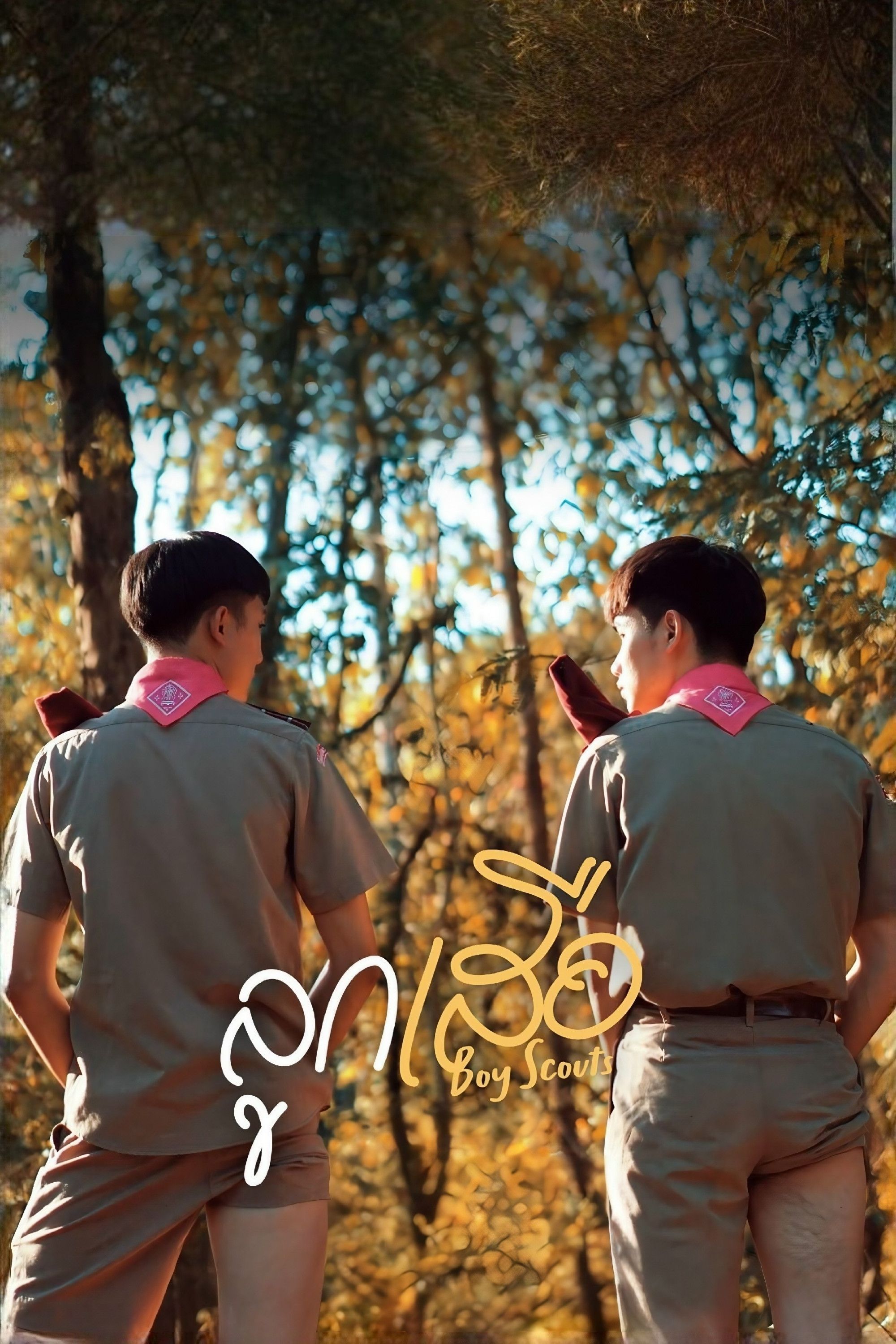 Poster of the movie Boy Scouts