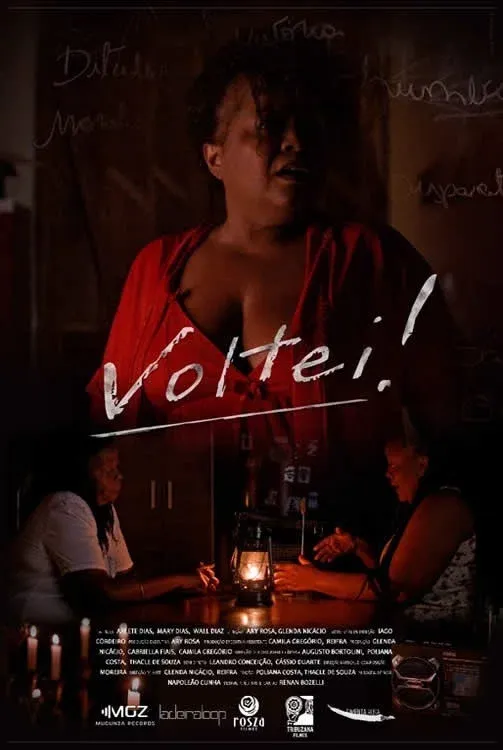 Poster for Voltei!