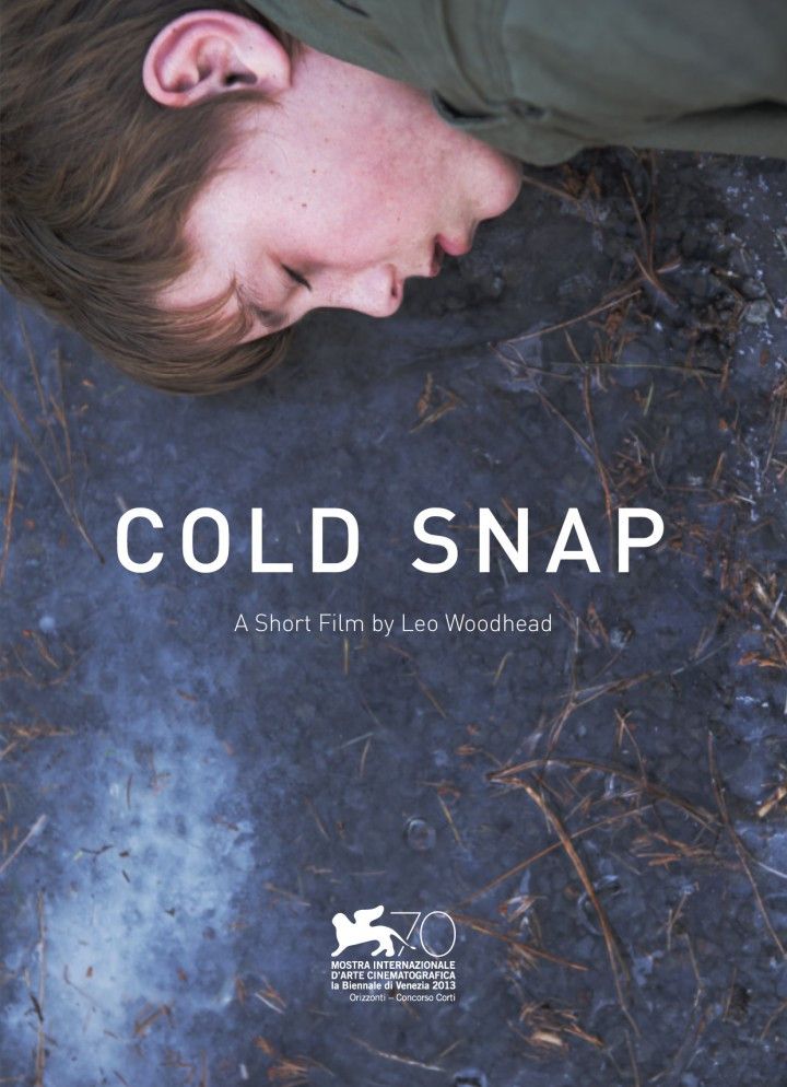 Poster of the movie Cold Snap
