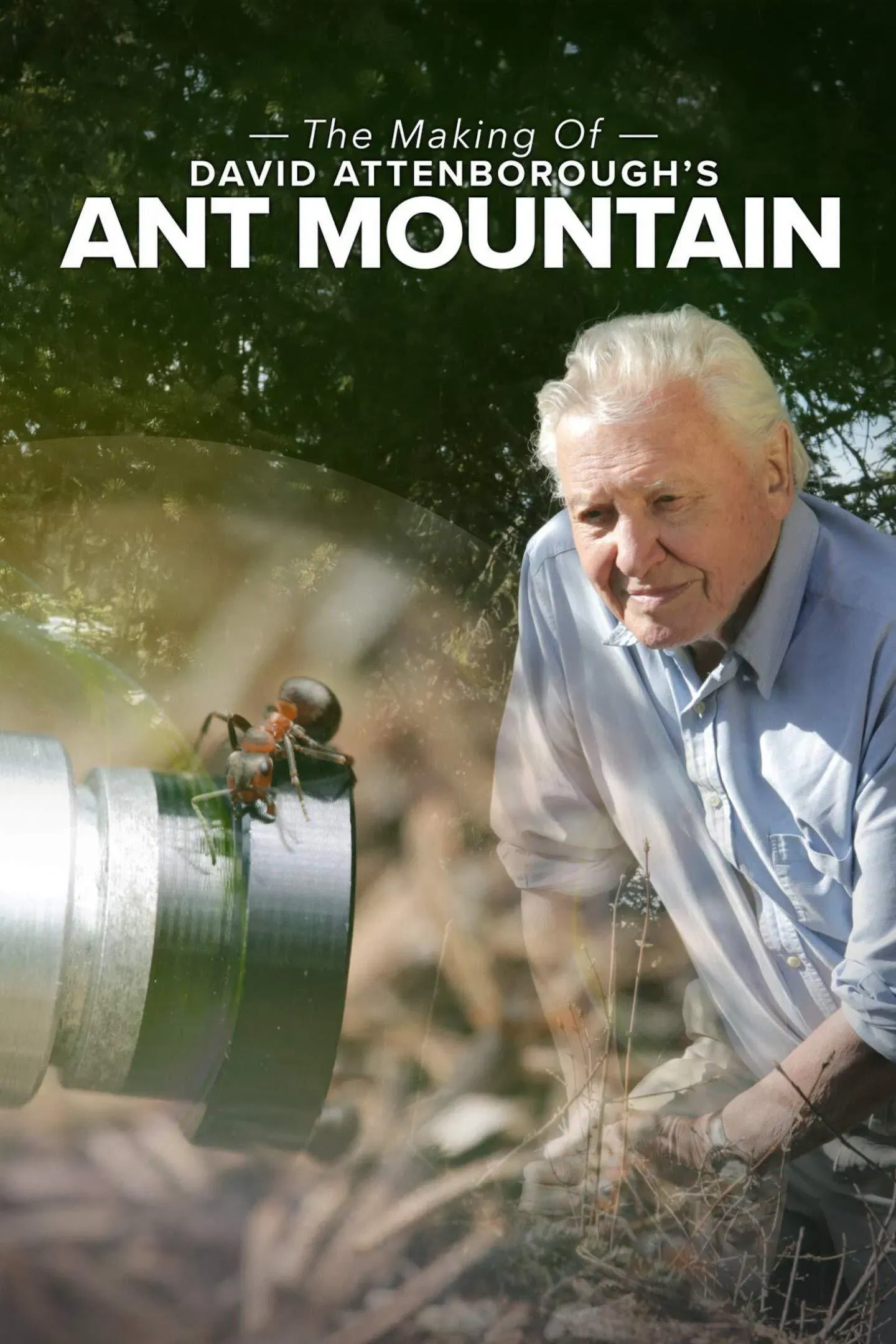 Poster of the movie The Making of David Attenborough's Ant Mountain