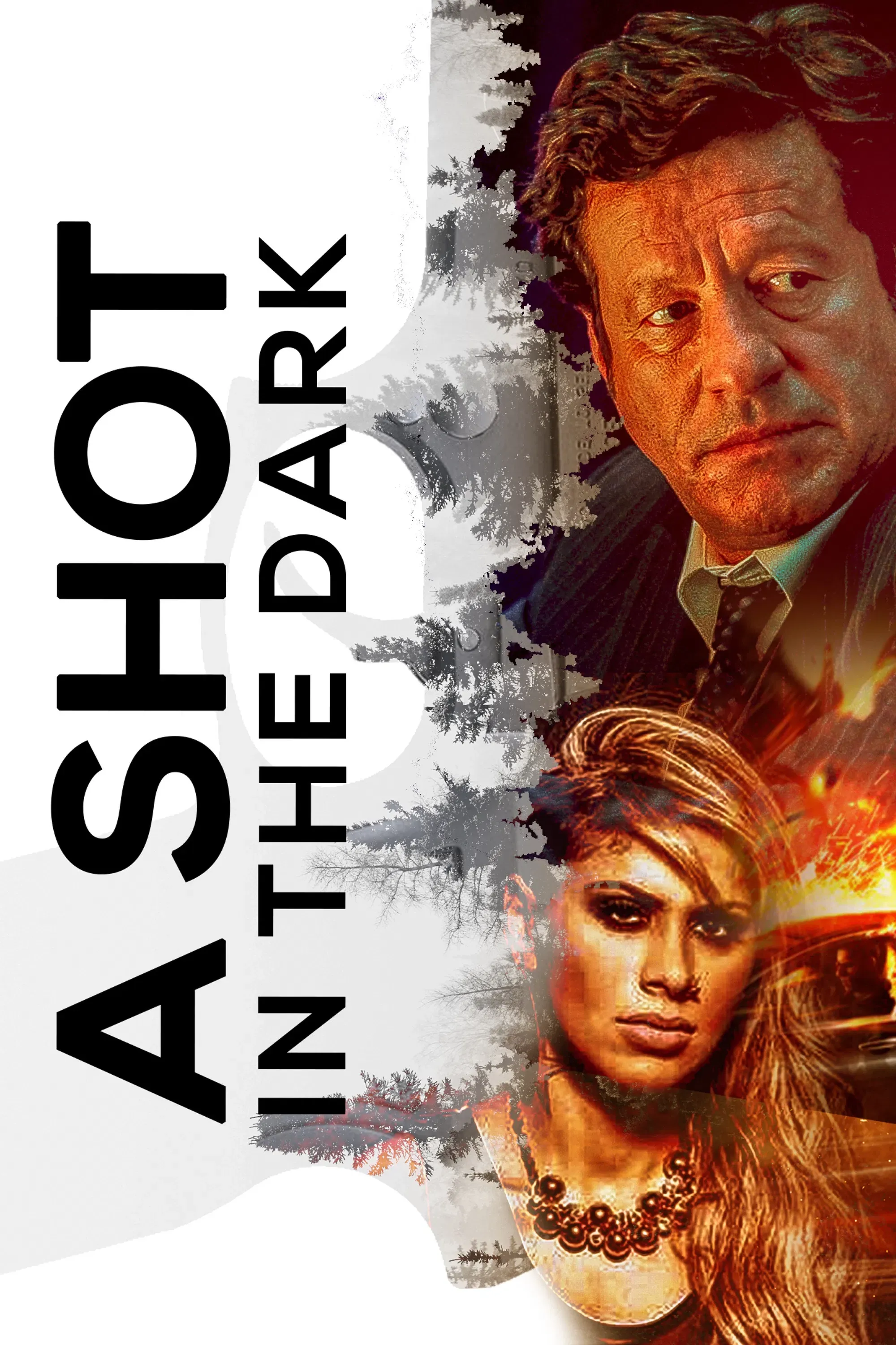 Poster of the movie A Shot in the Dark