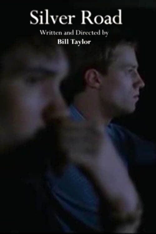 Poster of the movie Silver Road