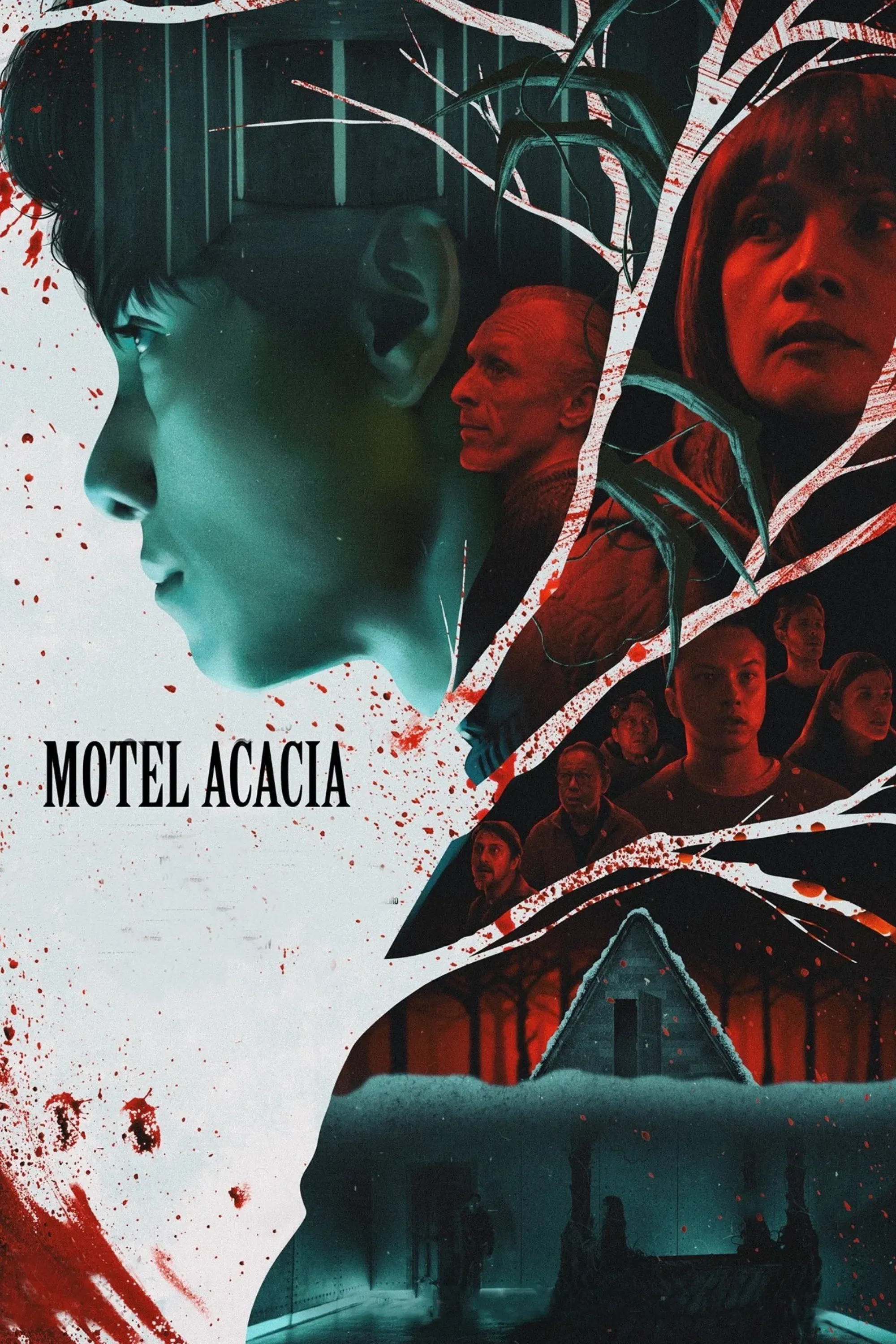 Poster of the movie Motel Acacia