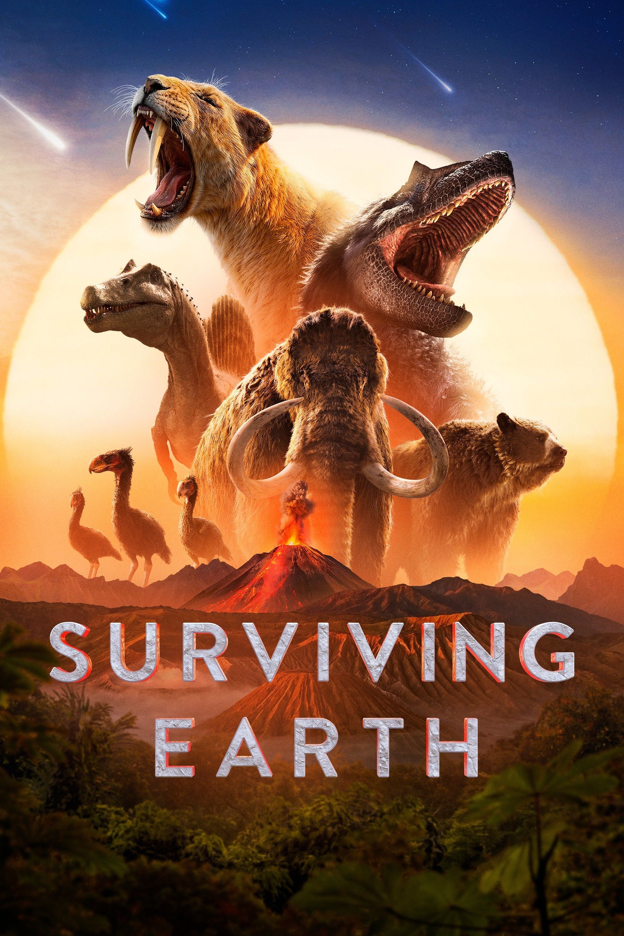 Poster of Surviving Earth