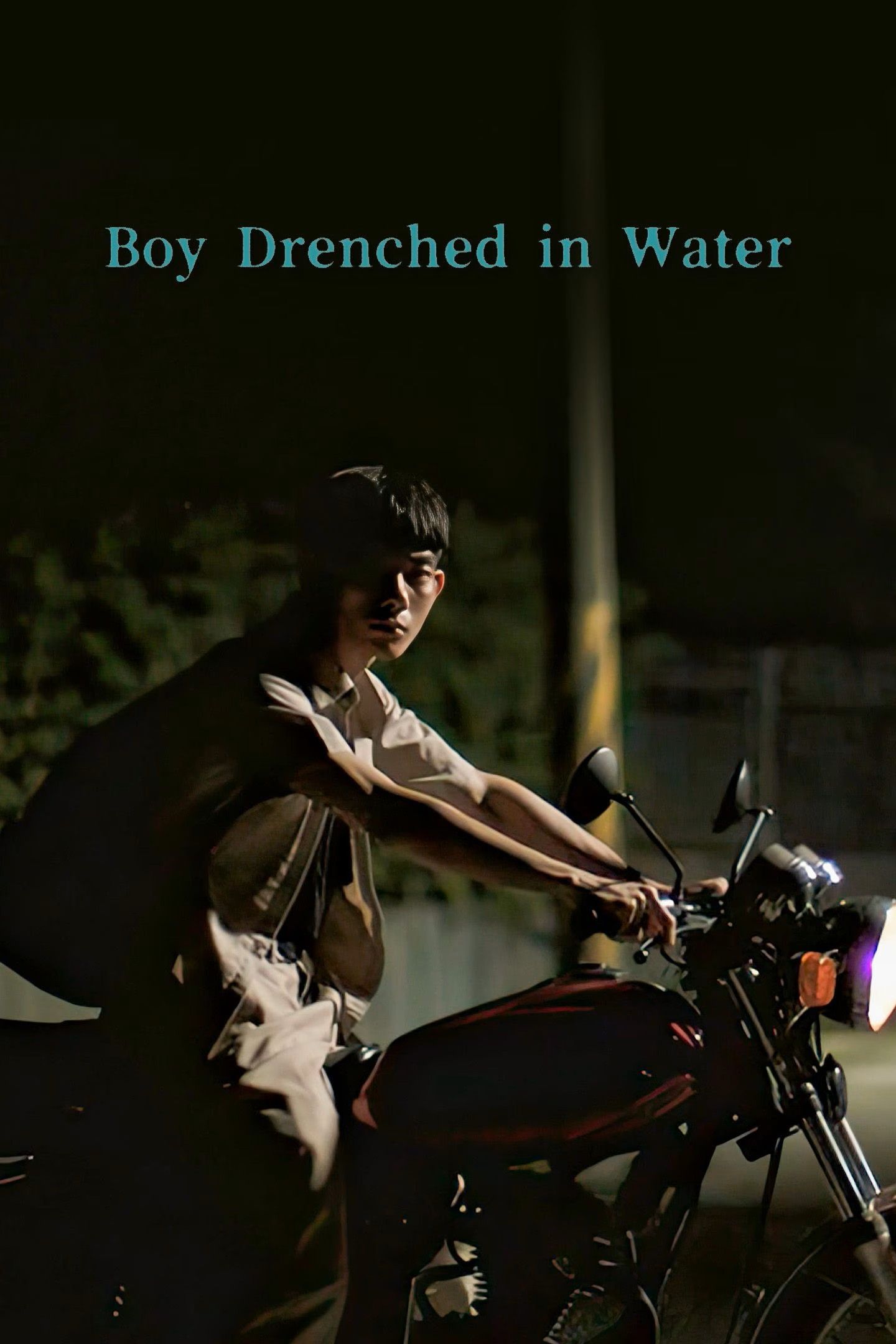 Poster of the movie Boy Drenched in Water