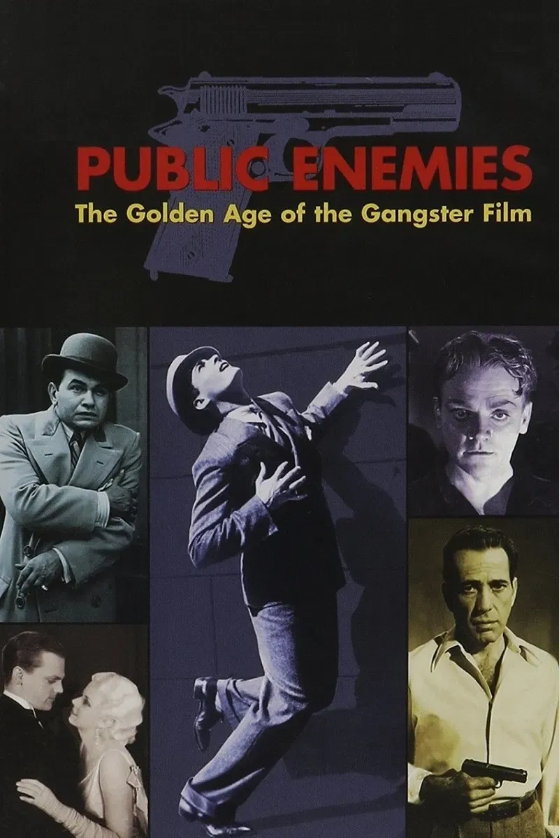 Poster of the movie Public Enemies: The Golden Age of the Gangster Film
