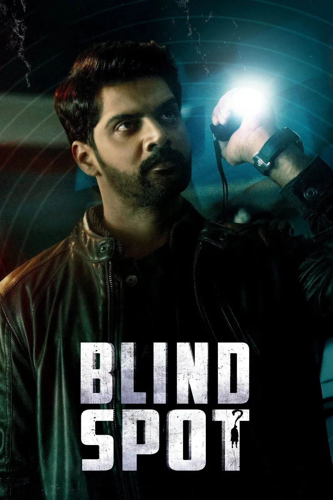 Poster of the movie Blind Spot