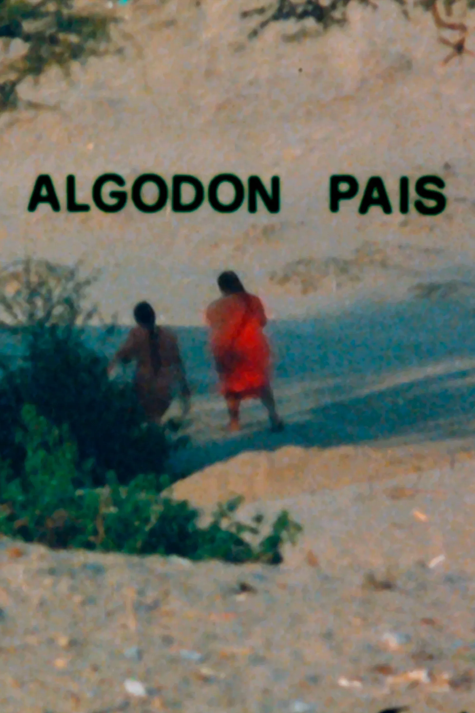 Poster for Algodón País