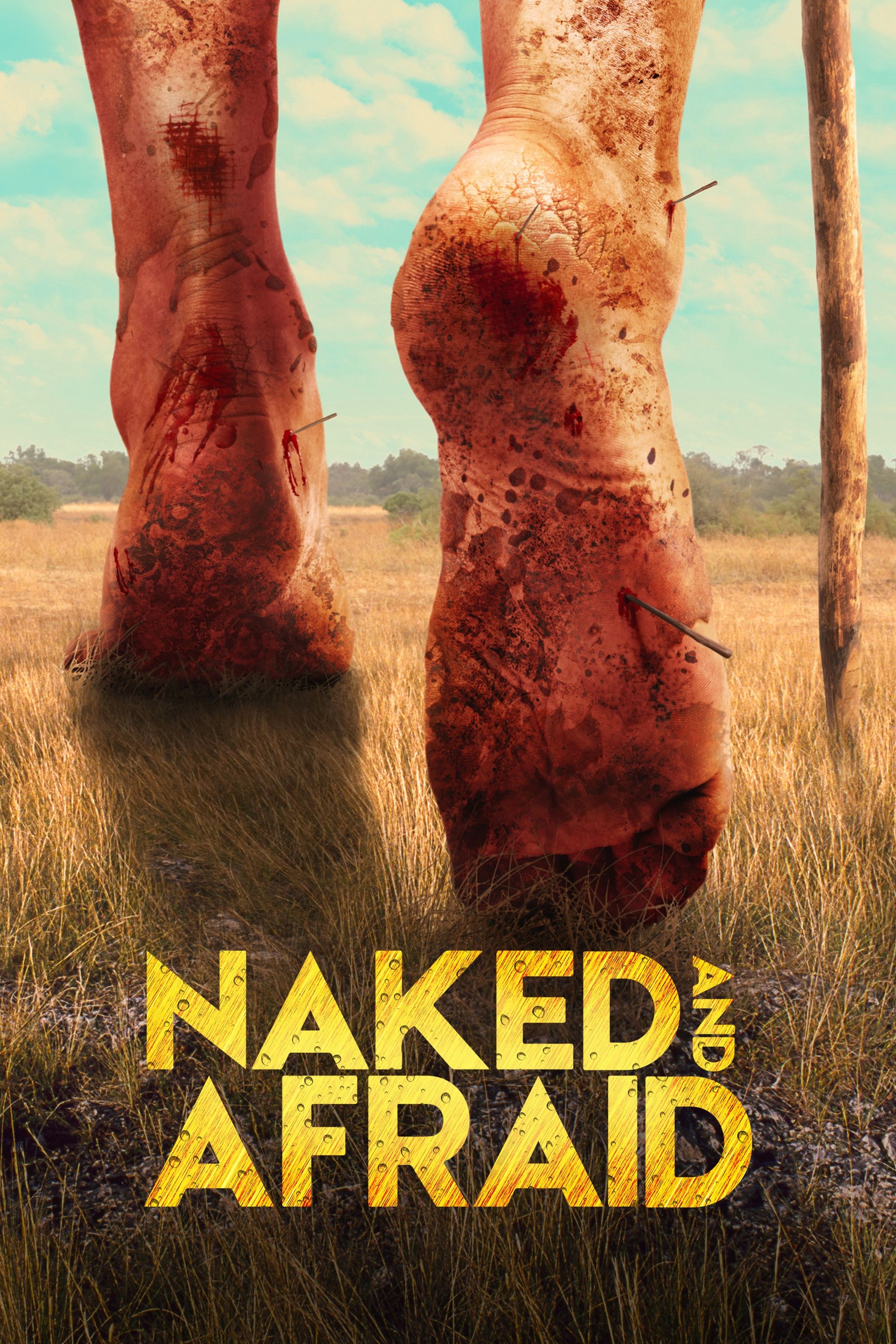Poster of Naked and Afraid