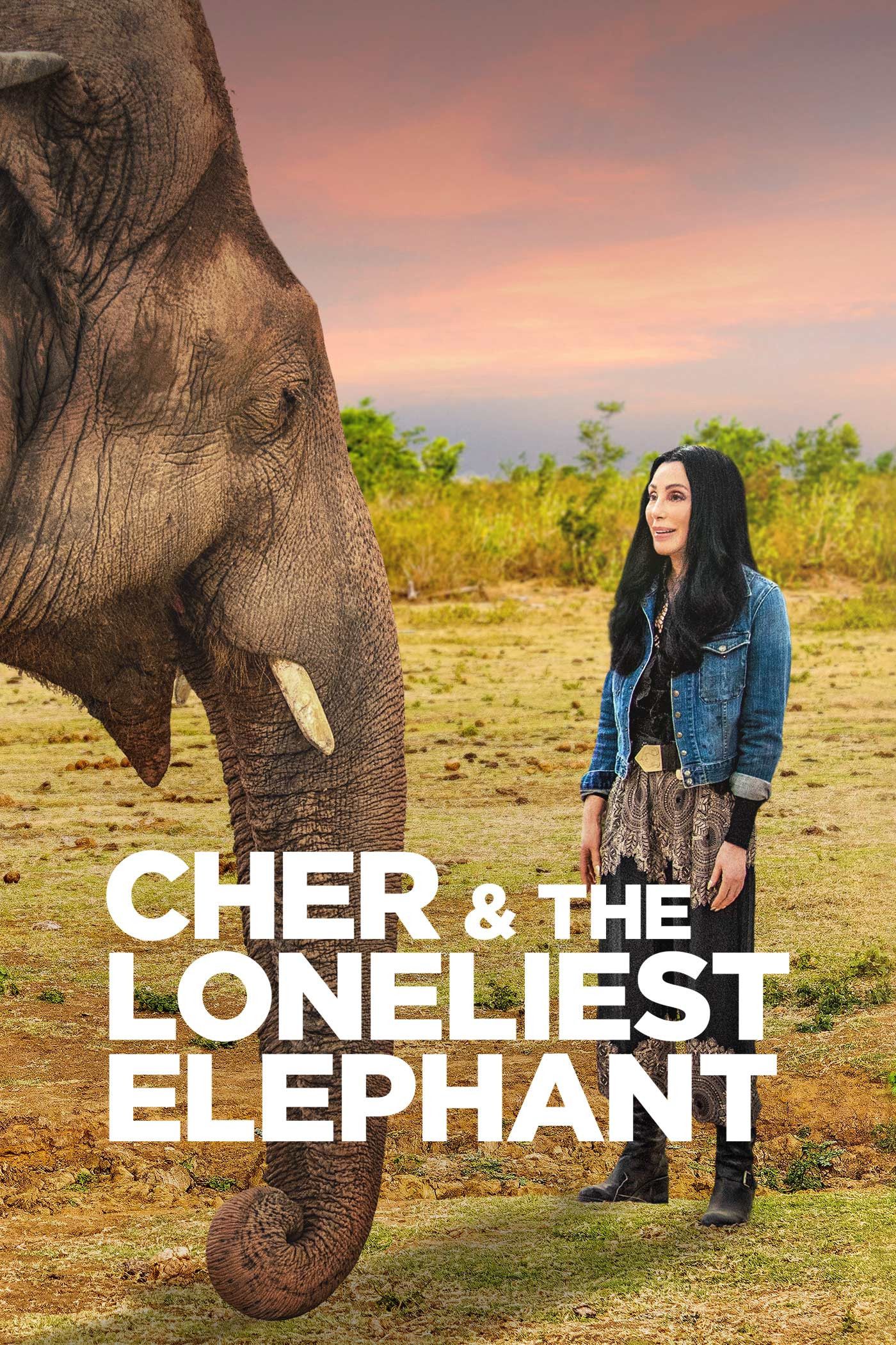 Poster of the movie Cher & the Loneliest Elephant