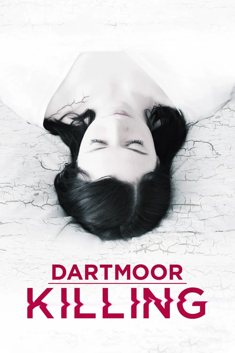 Poster of the movie Dartmoor Killing