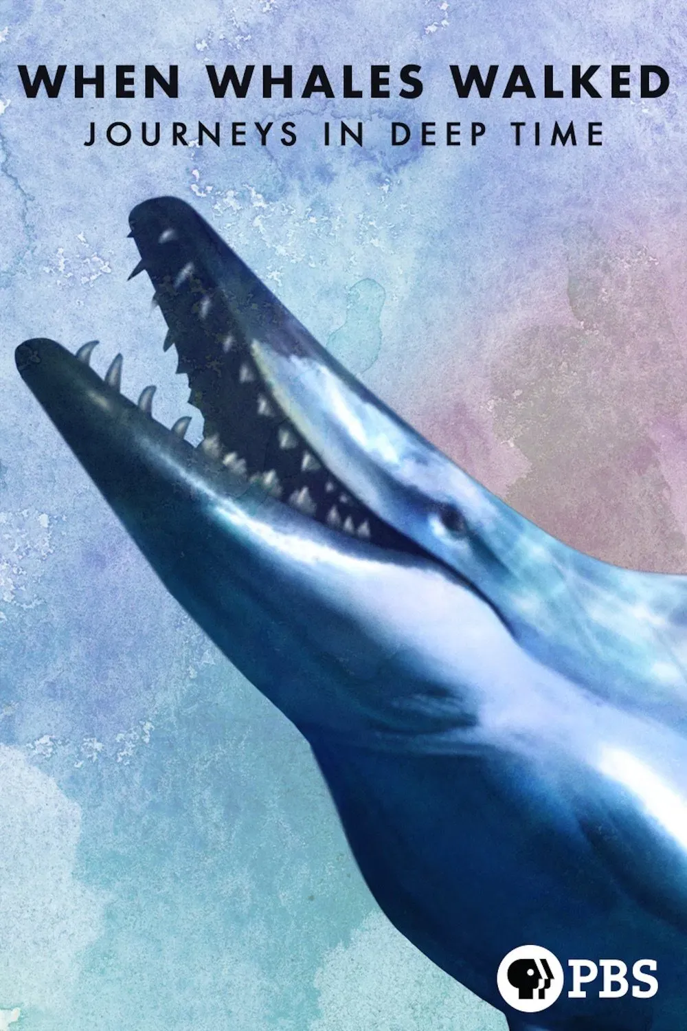 Poster of the movie When Whales Walked: Journeys in Deep Time