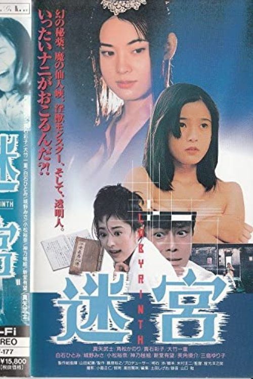 Poster for Labyrinth