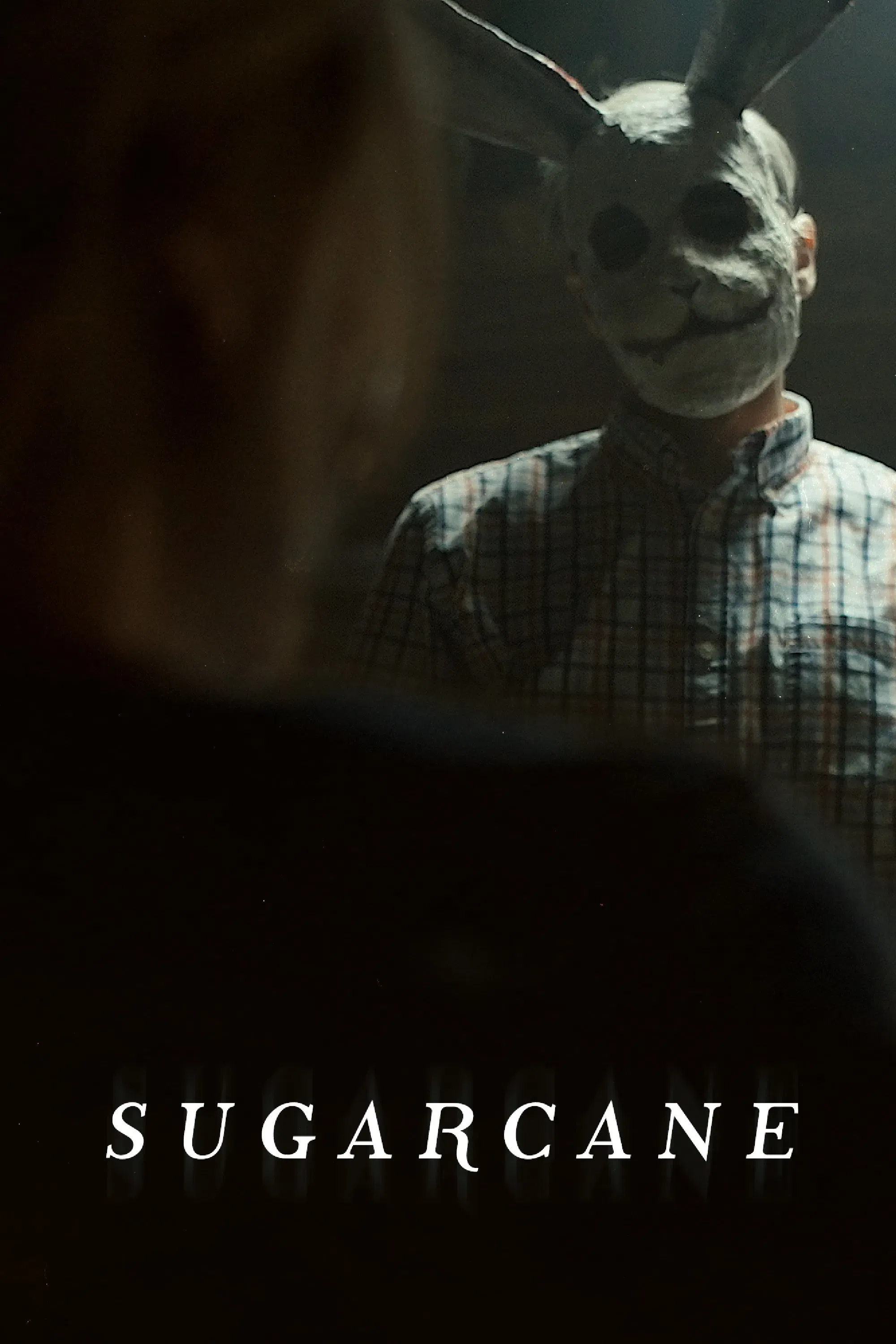 Poster for Sugarcane