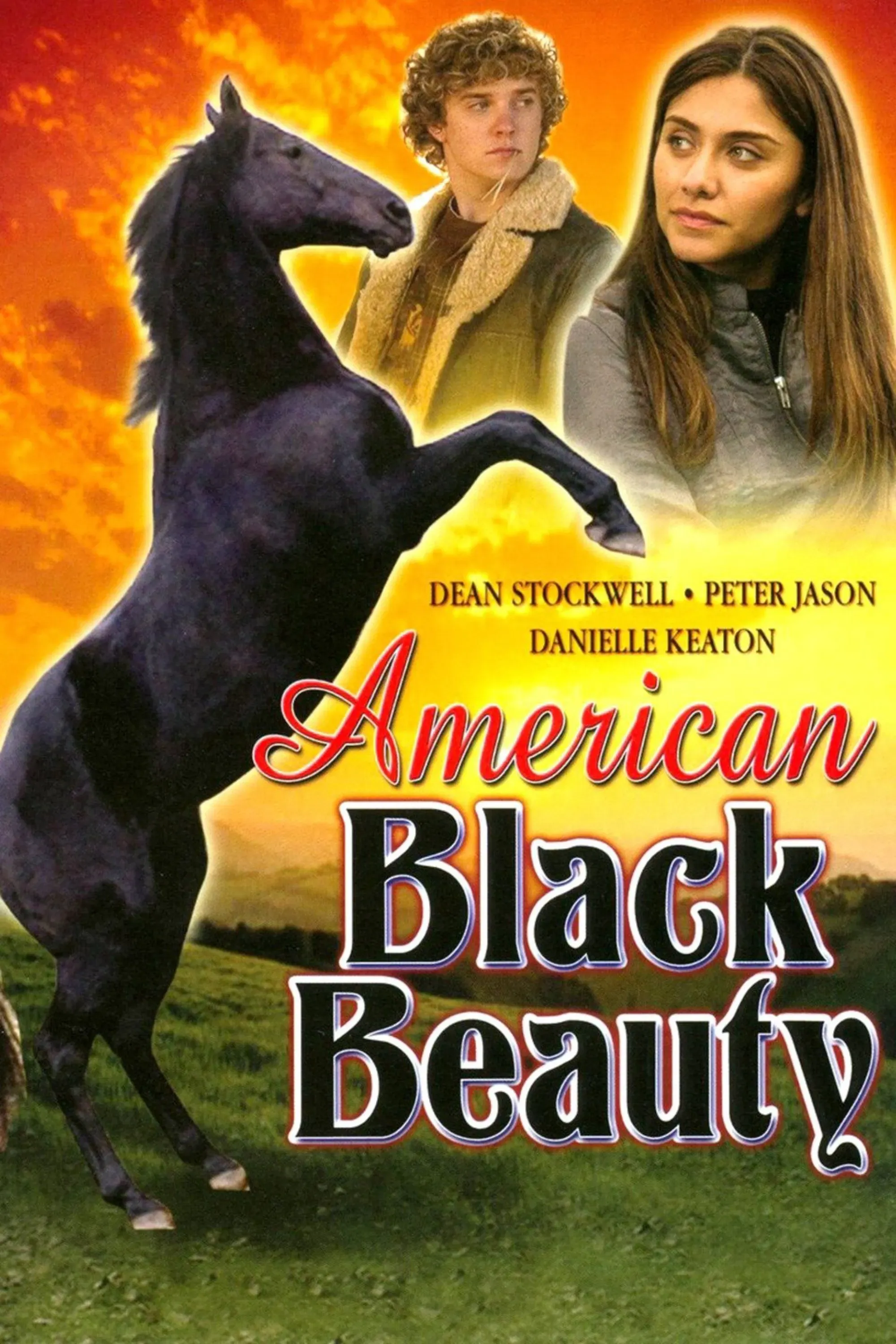 Poster of the movie American Black Beauty