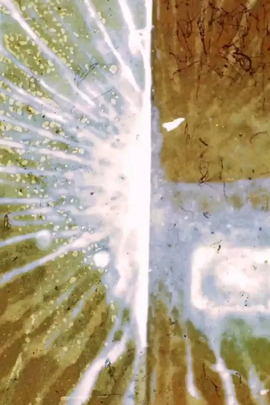 Poster of the movie Destellos