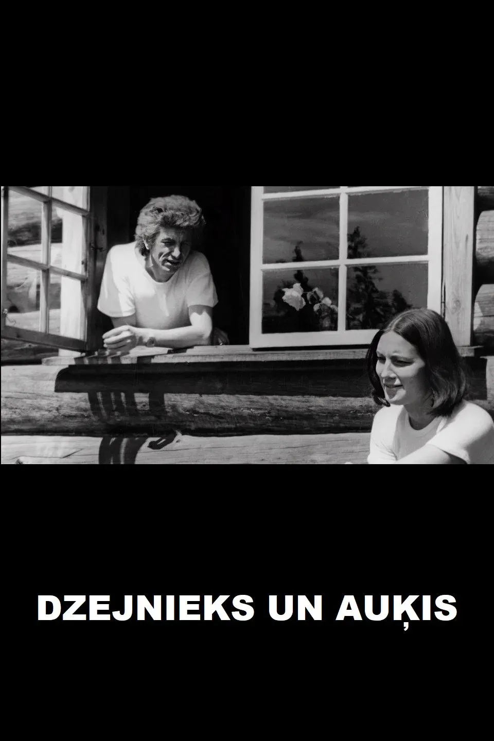 Poster for Dzejnieks un Auķis