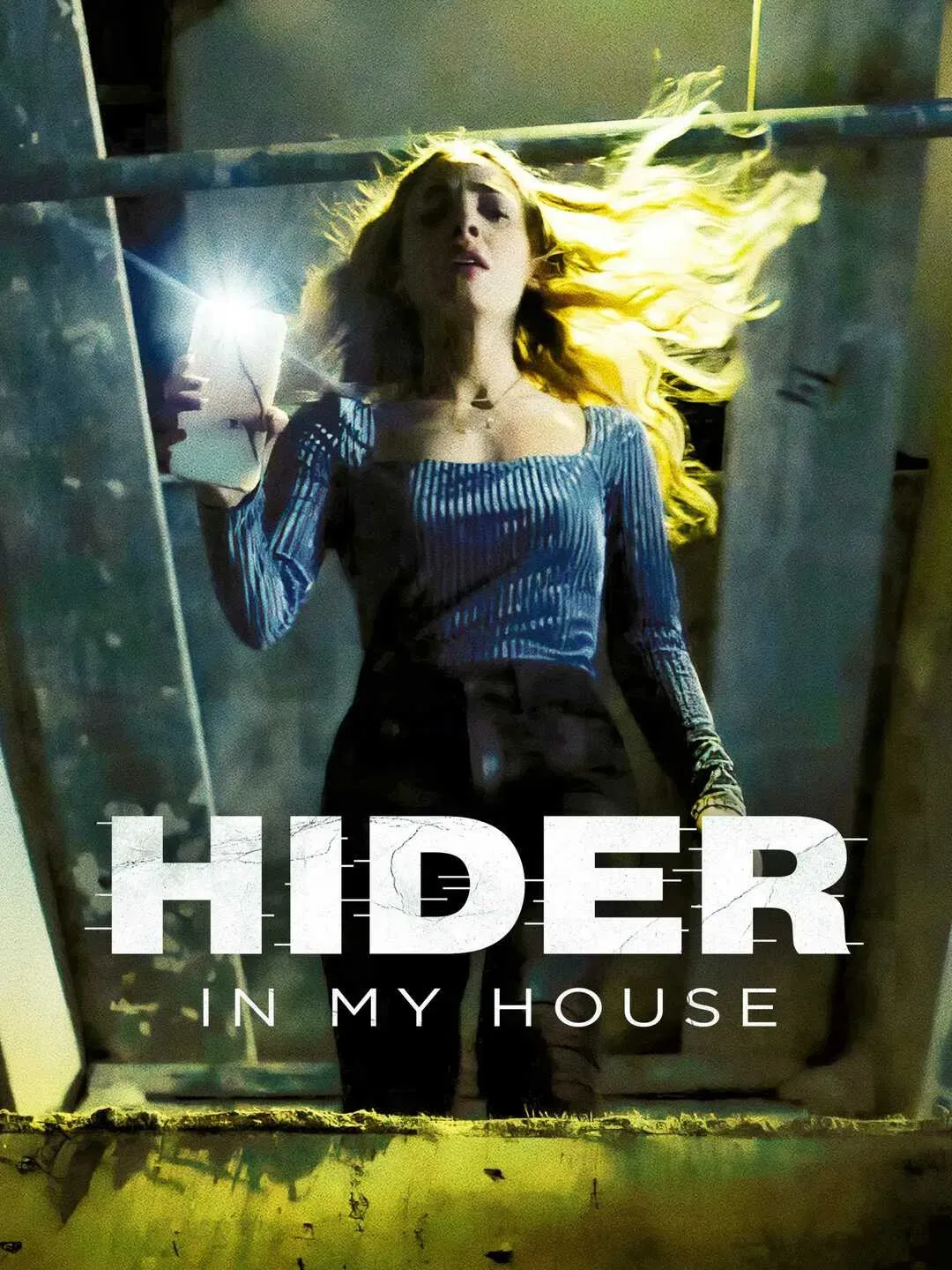 Poster of the movie Hider in My House