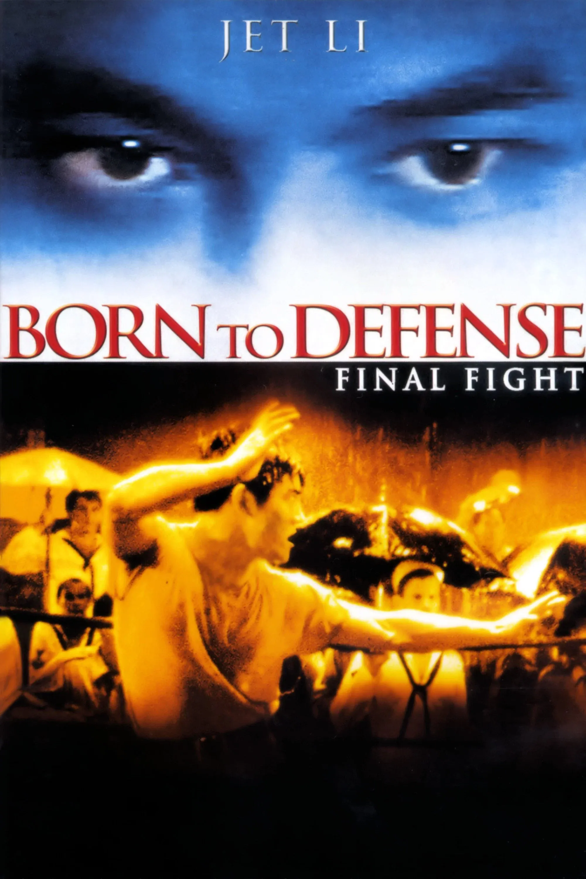 Poster of the movie Born to Defence