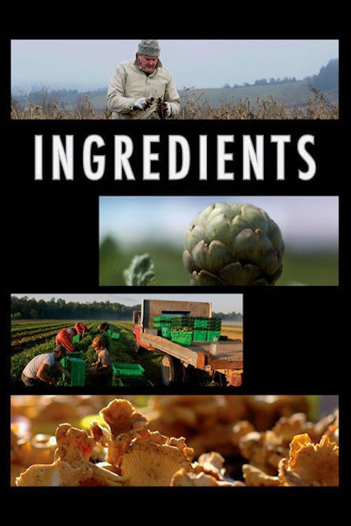 Poster of the movie Ingredients