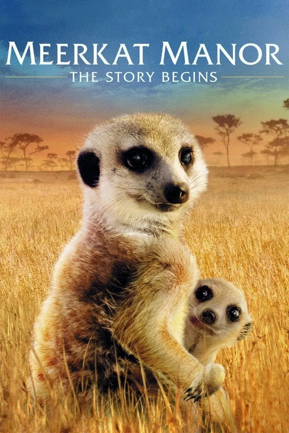 Poster of the movie Meerkat Manor: The Story Begins