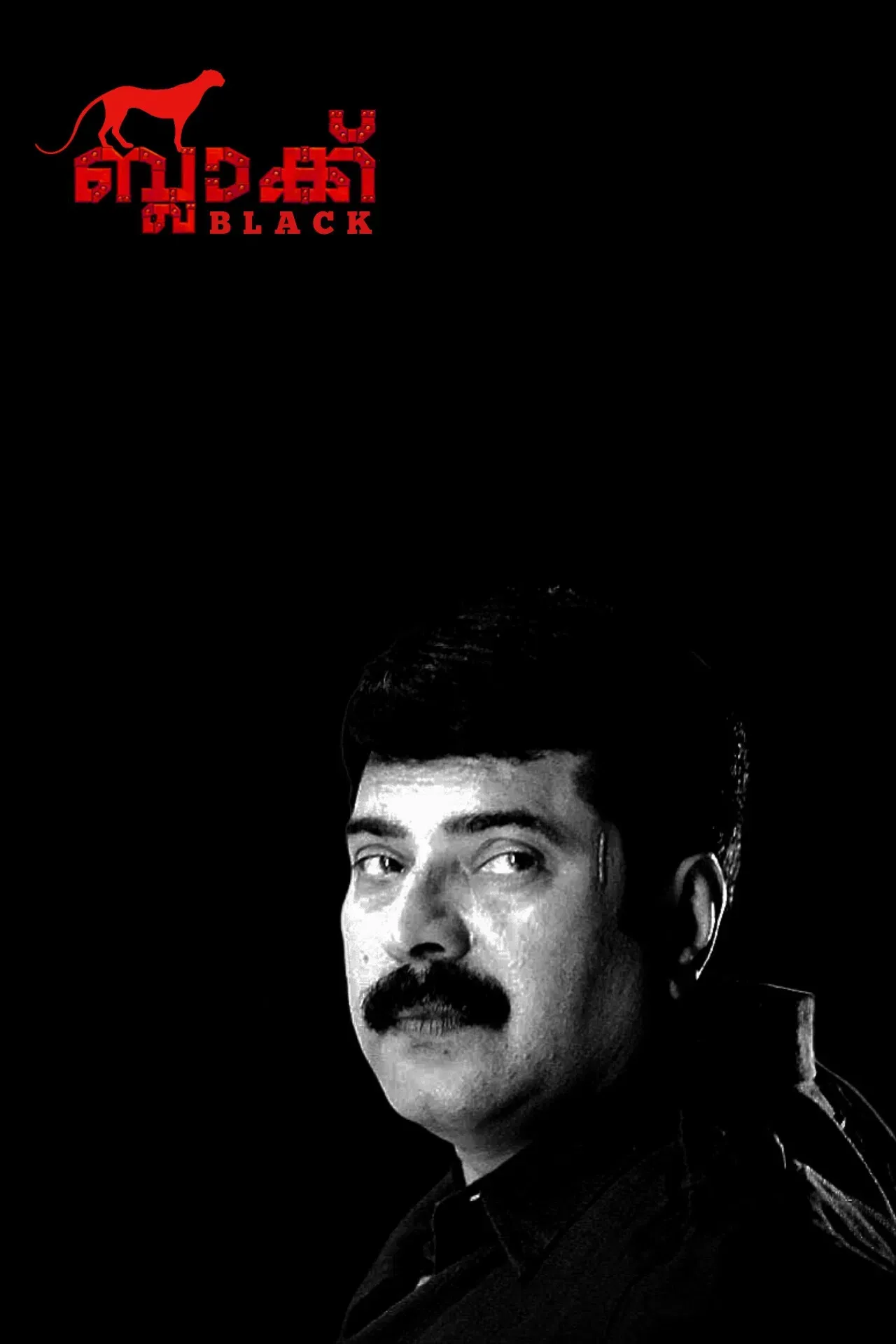 Poster of the movie Black