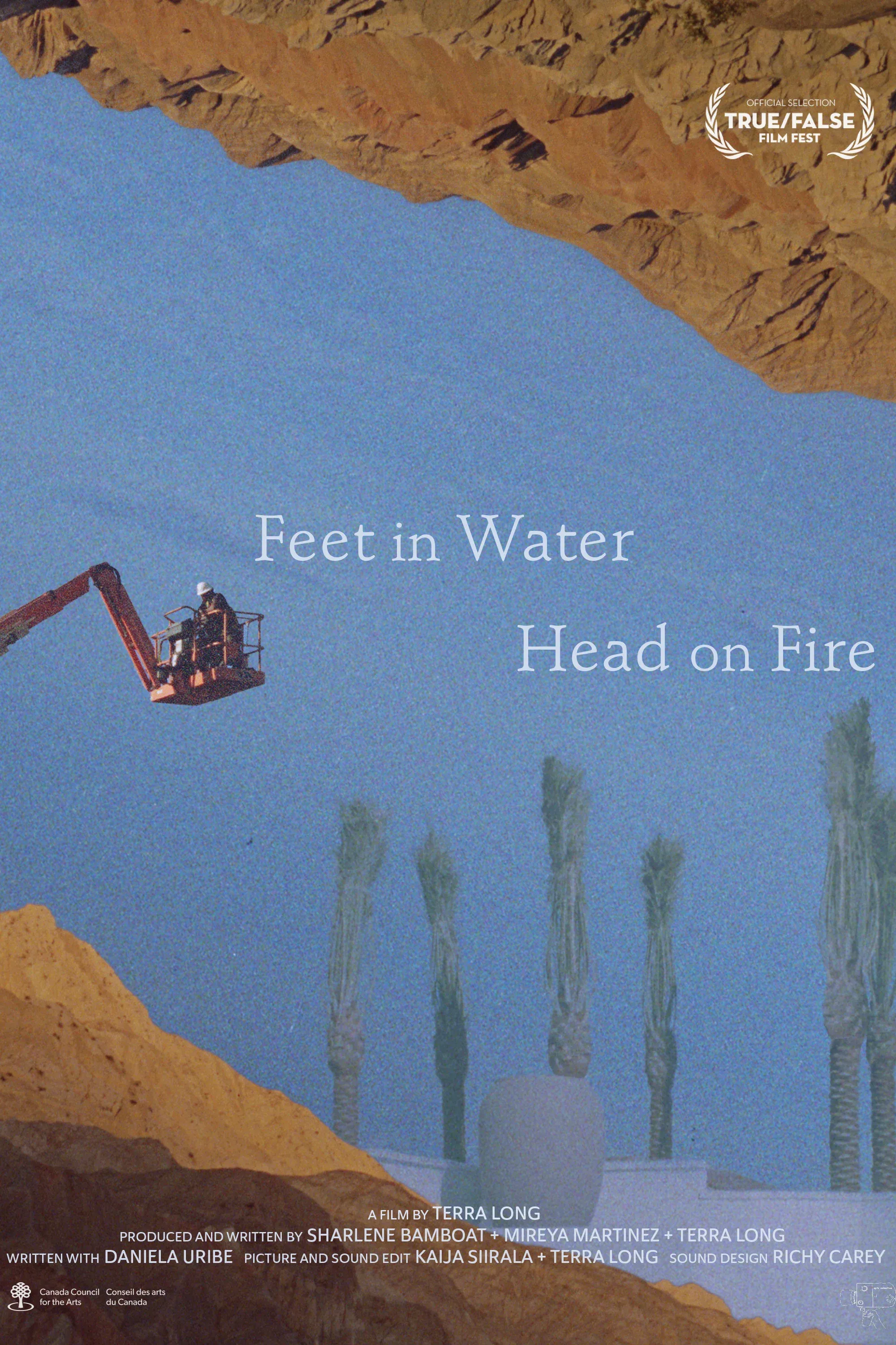 Poster for Feet in Water, Head on Fire