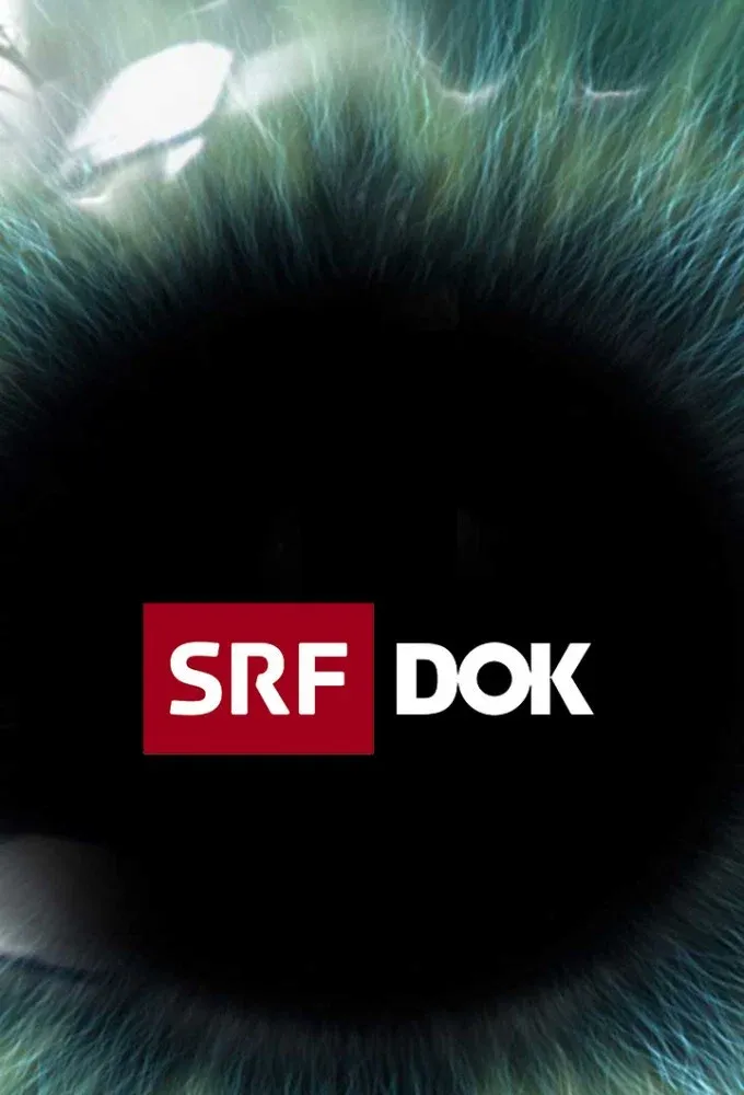 Poster of SRF DOK