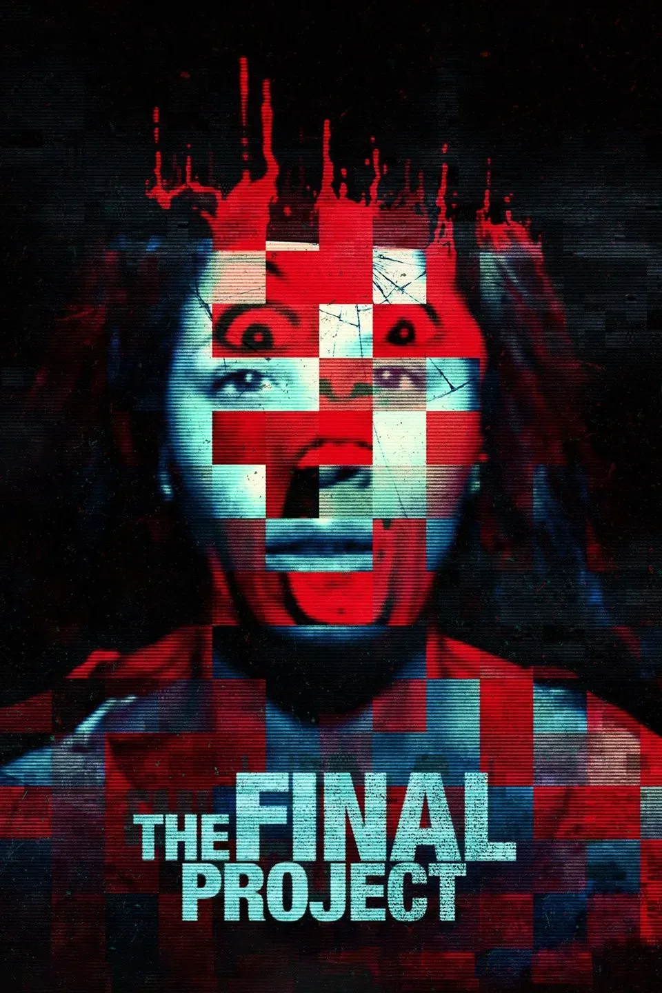 Poster of the movie The Final Project