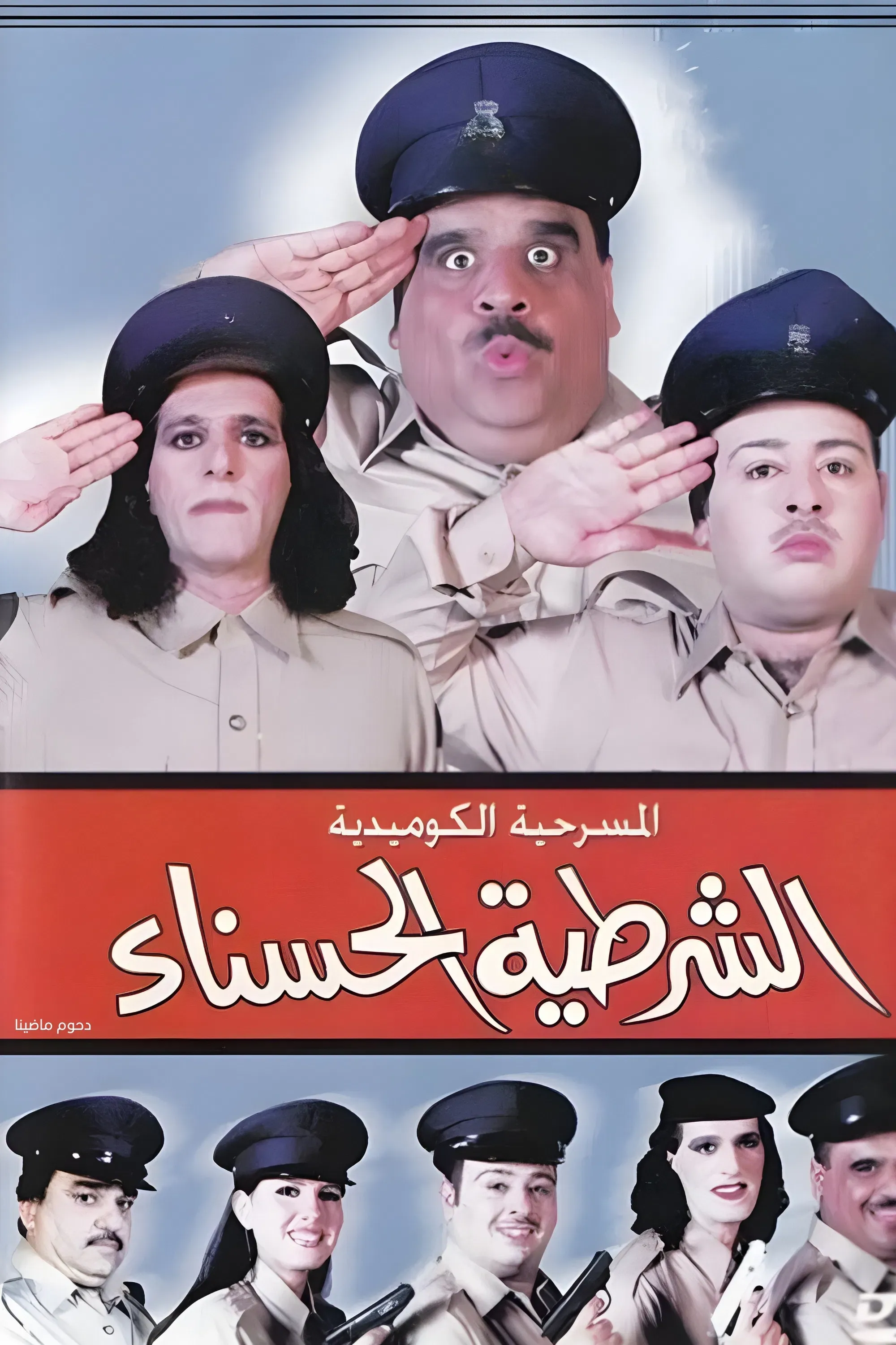 Poster of the movie The beautiful policewoman