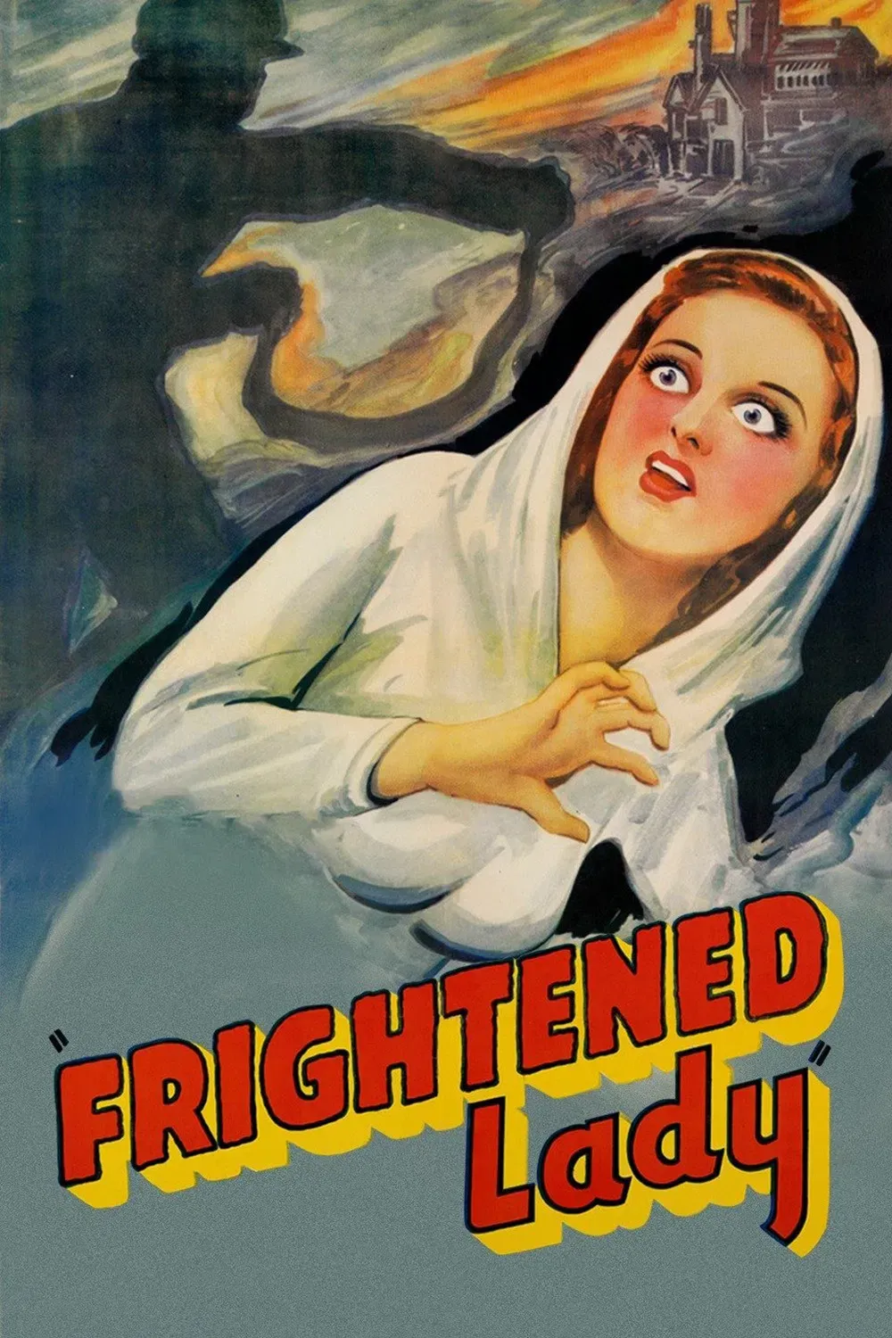 Poster of the movie The Case of the Frightened Lady