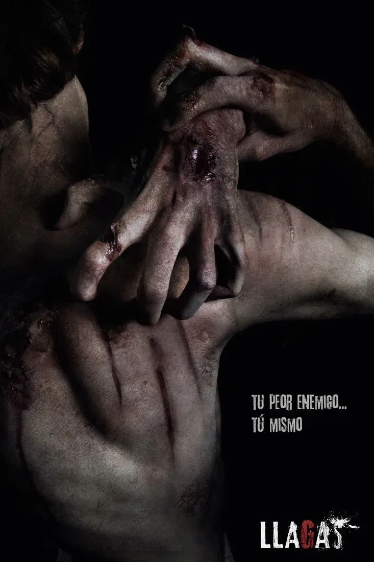 Poster for Llagas