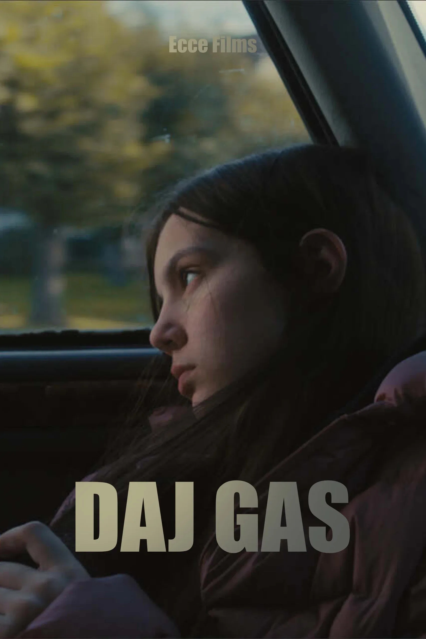 Poster for Daj Gas