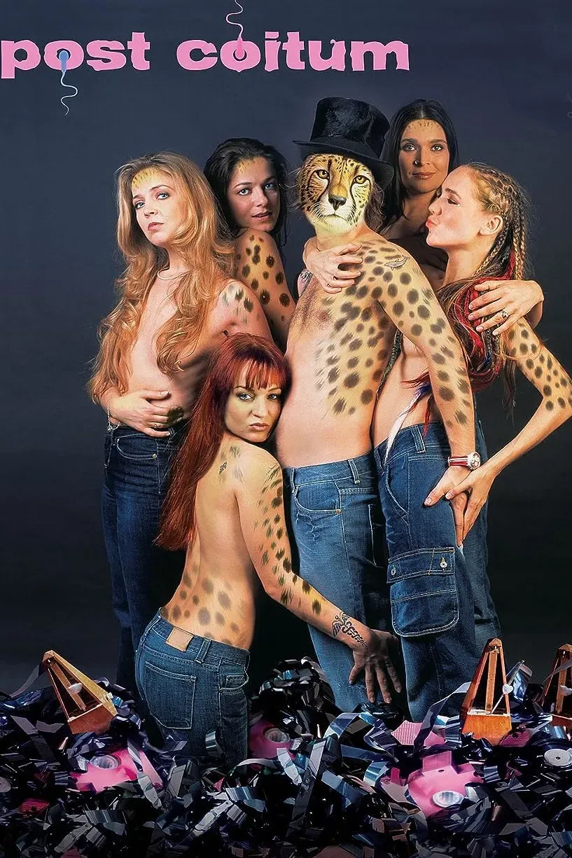 Poster of the movie Post Coitum