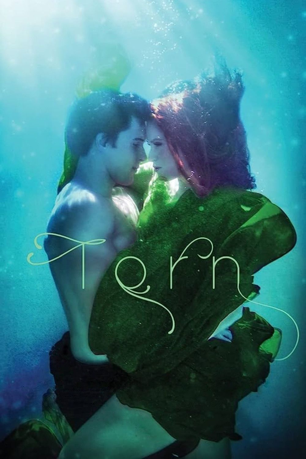 Poster of the movie Torn