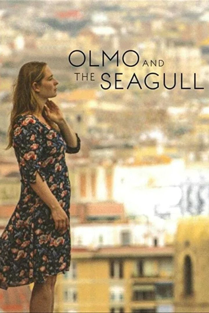 Poster of the movie Olmo and the Seagull